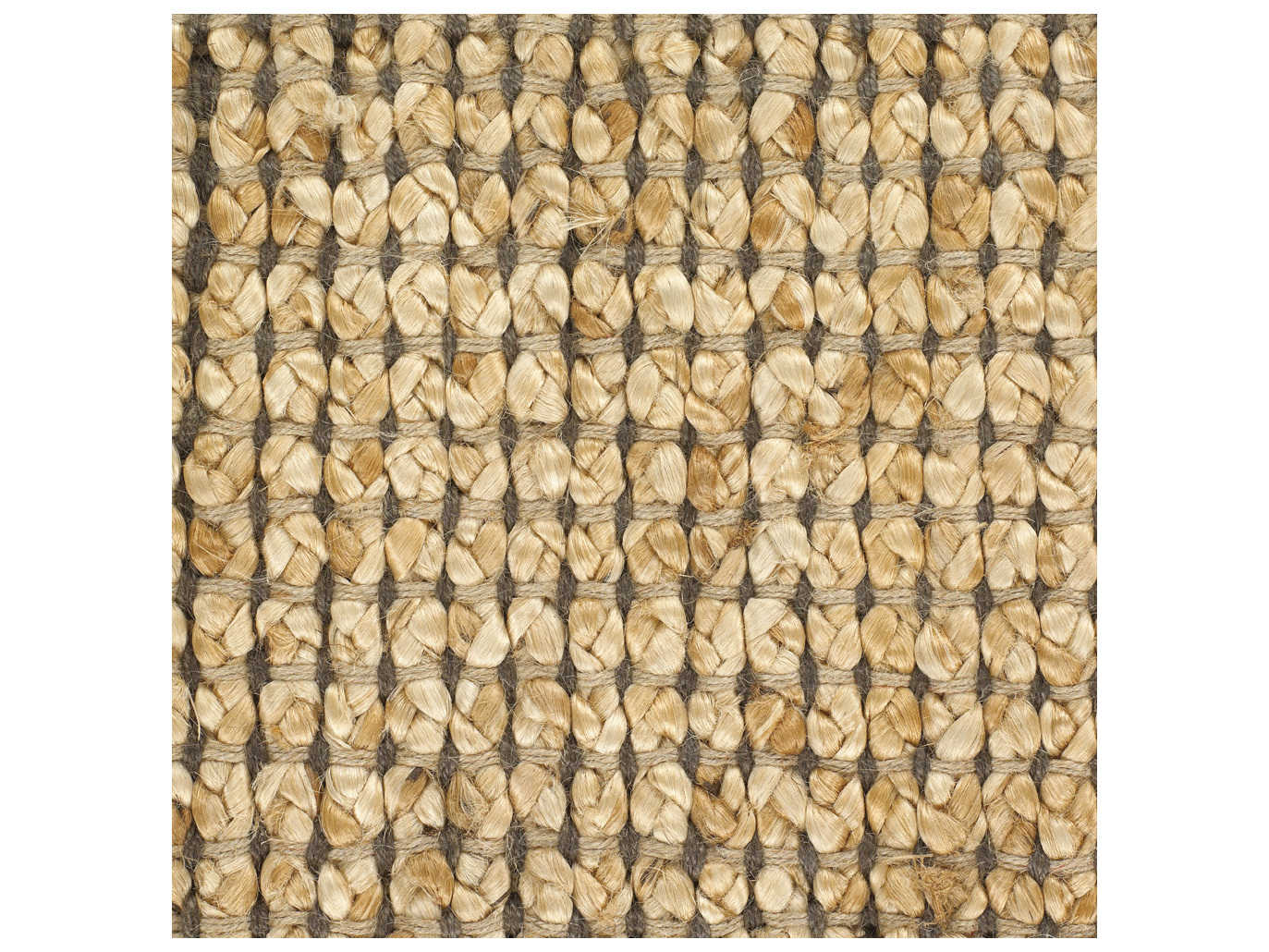 Chandra Zola Area Rug
