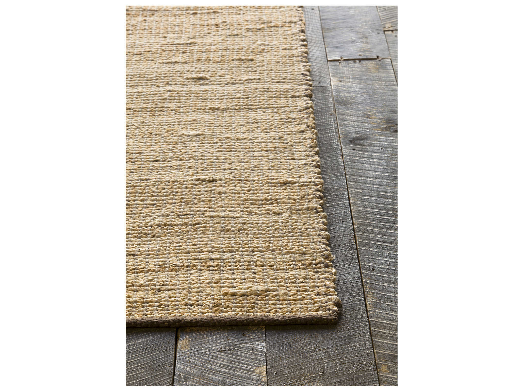 Chandra Zola Area Rug