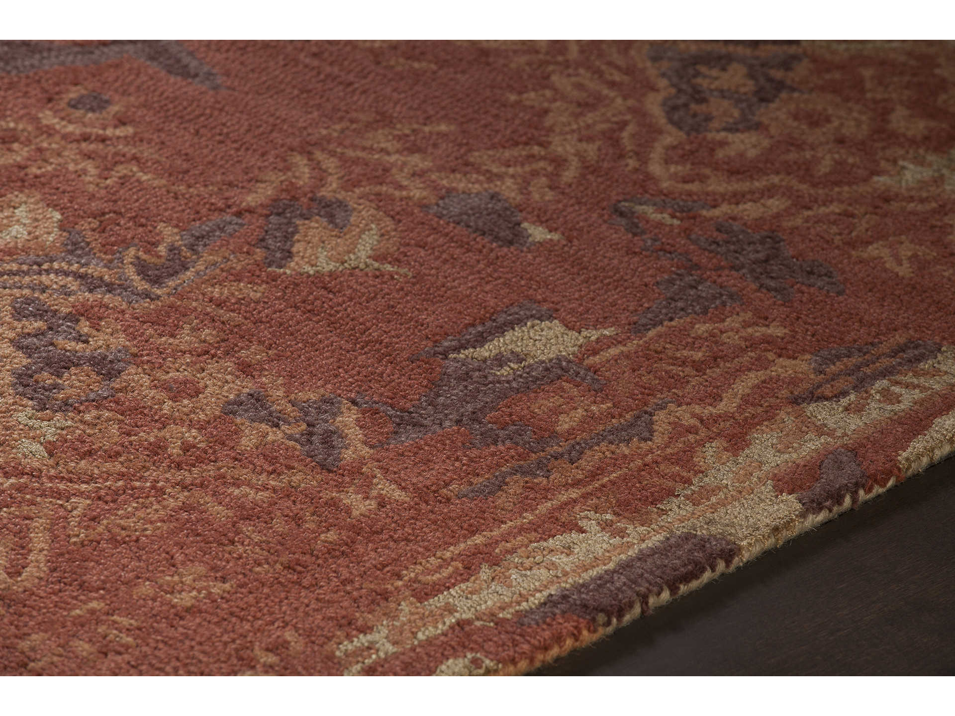 Chandra Zyana Bordered Area Rug