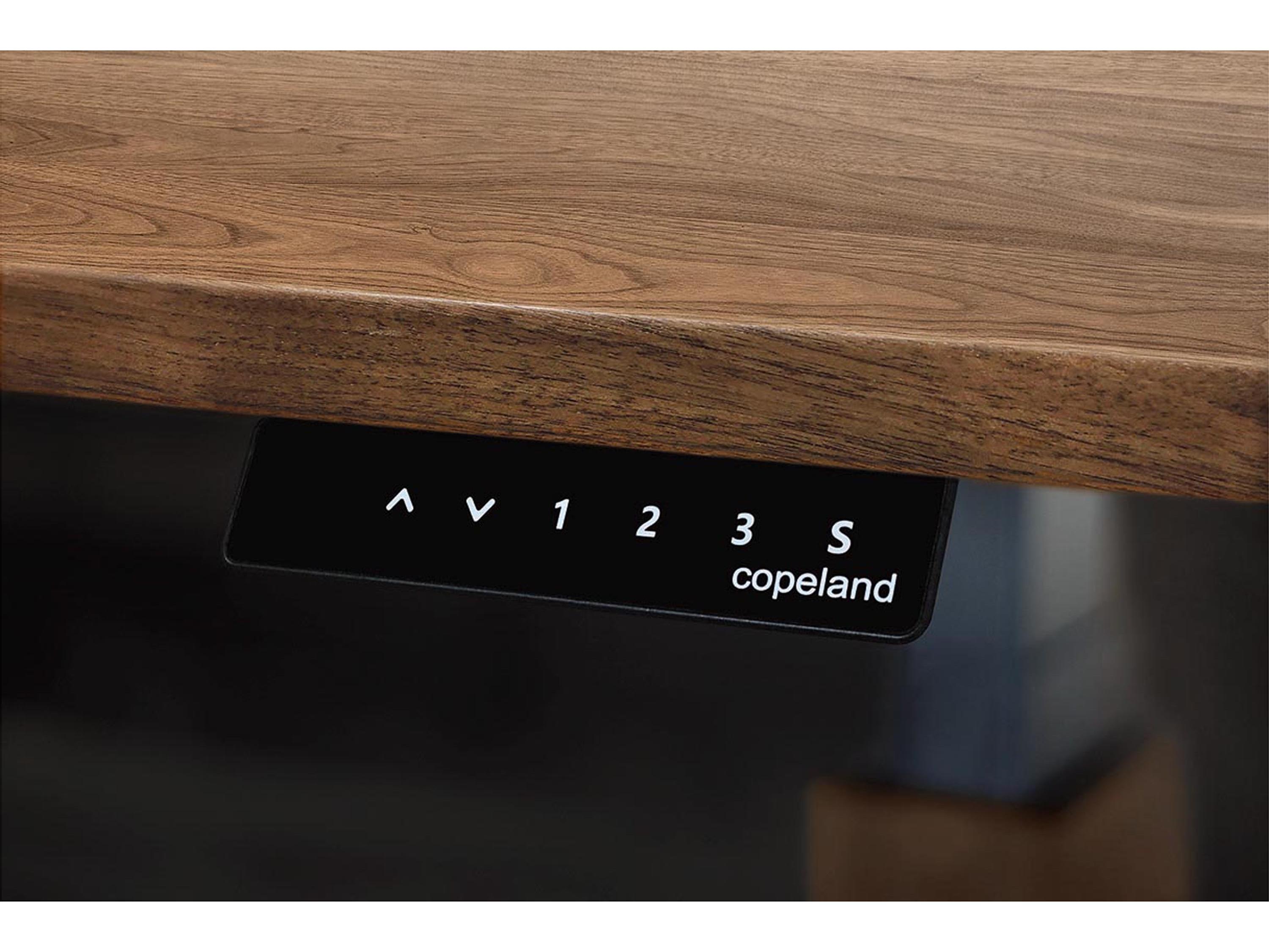 Copeland Invigo Standing Desk
