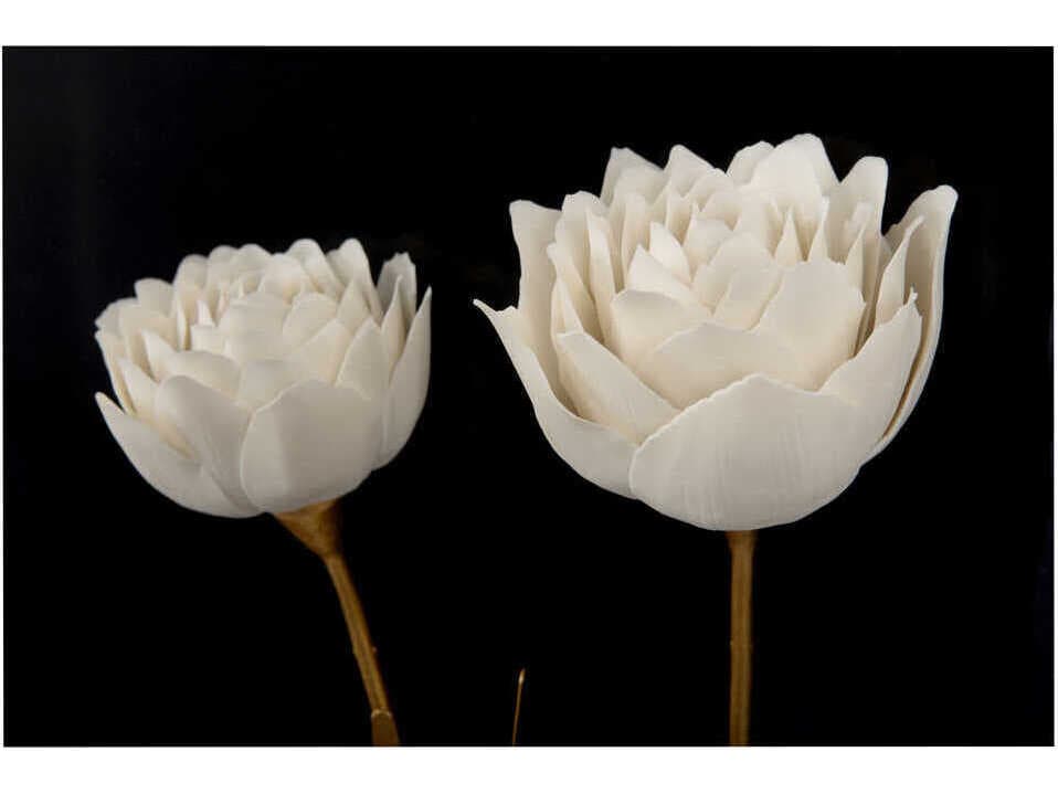 Chelsea House Porcelain Flower Black-C Shadow Box