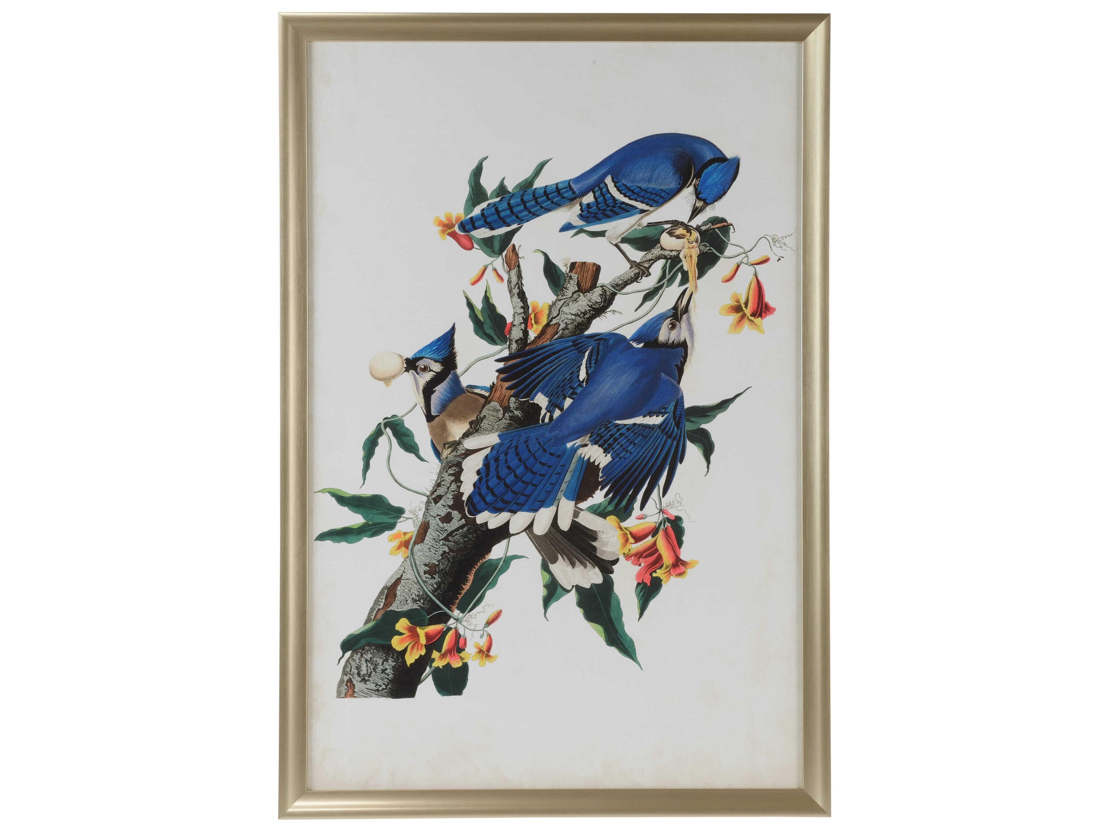 Chelsea House Jamie Merida Audubon Blue Jay I