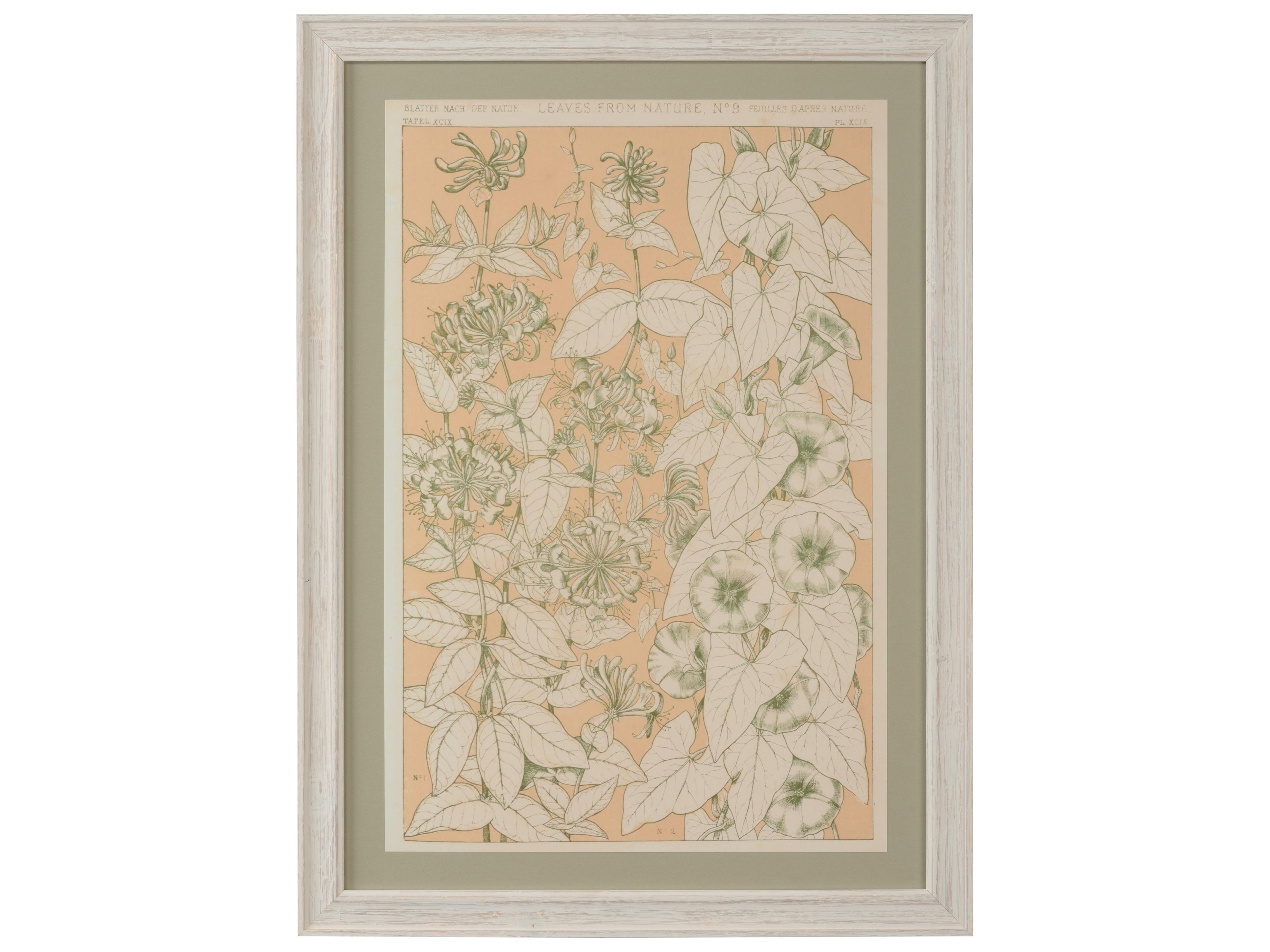 Chelsea House Amanda Lindroth