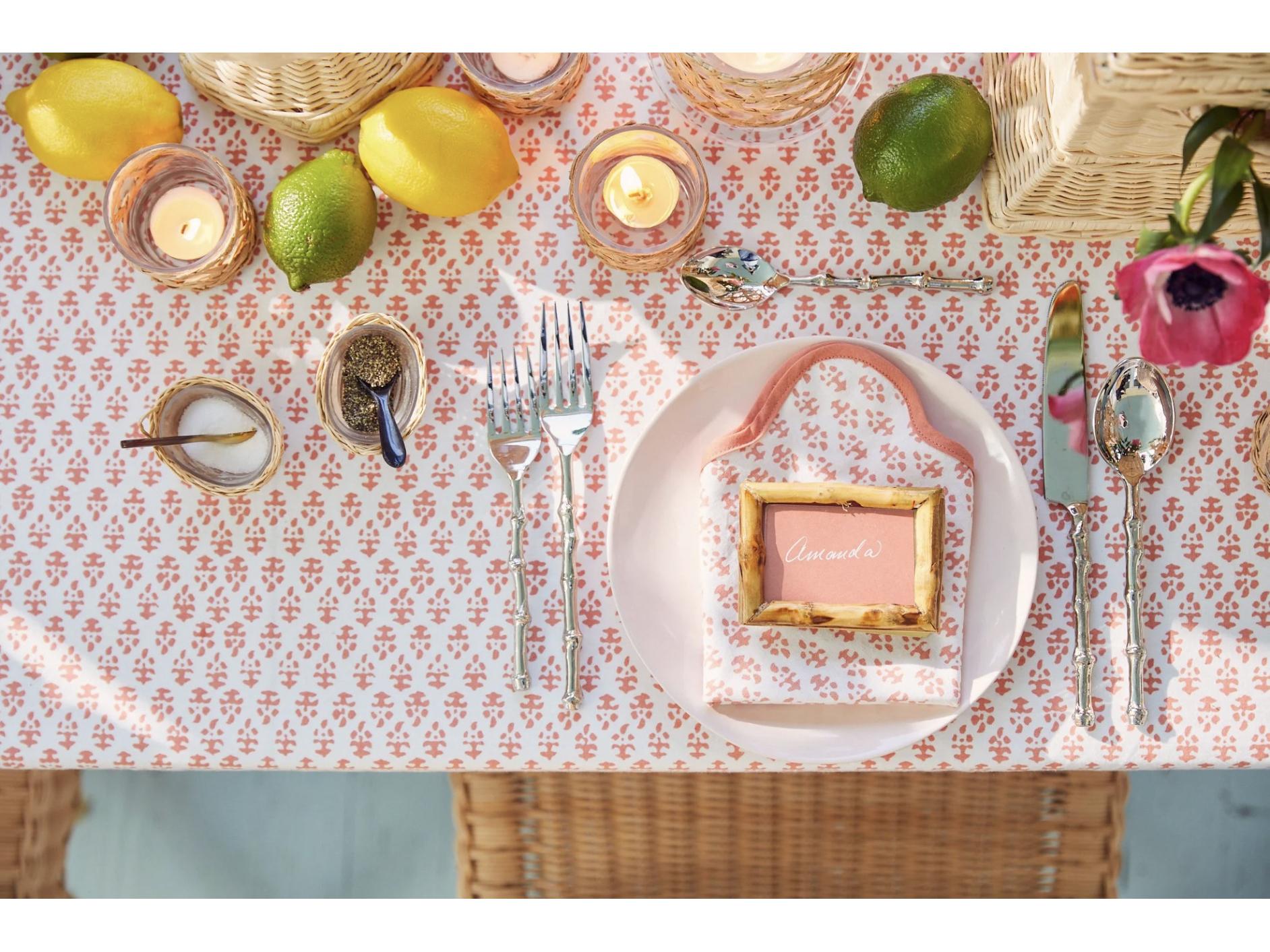 Chelsea House Amanda Lindroth