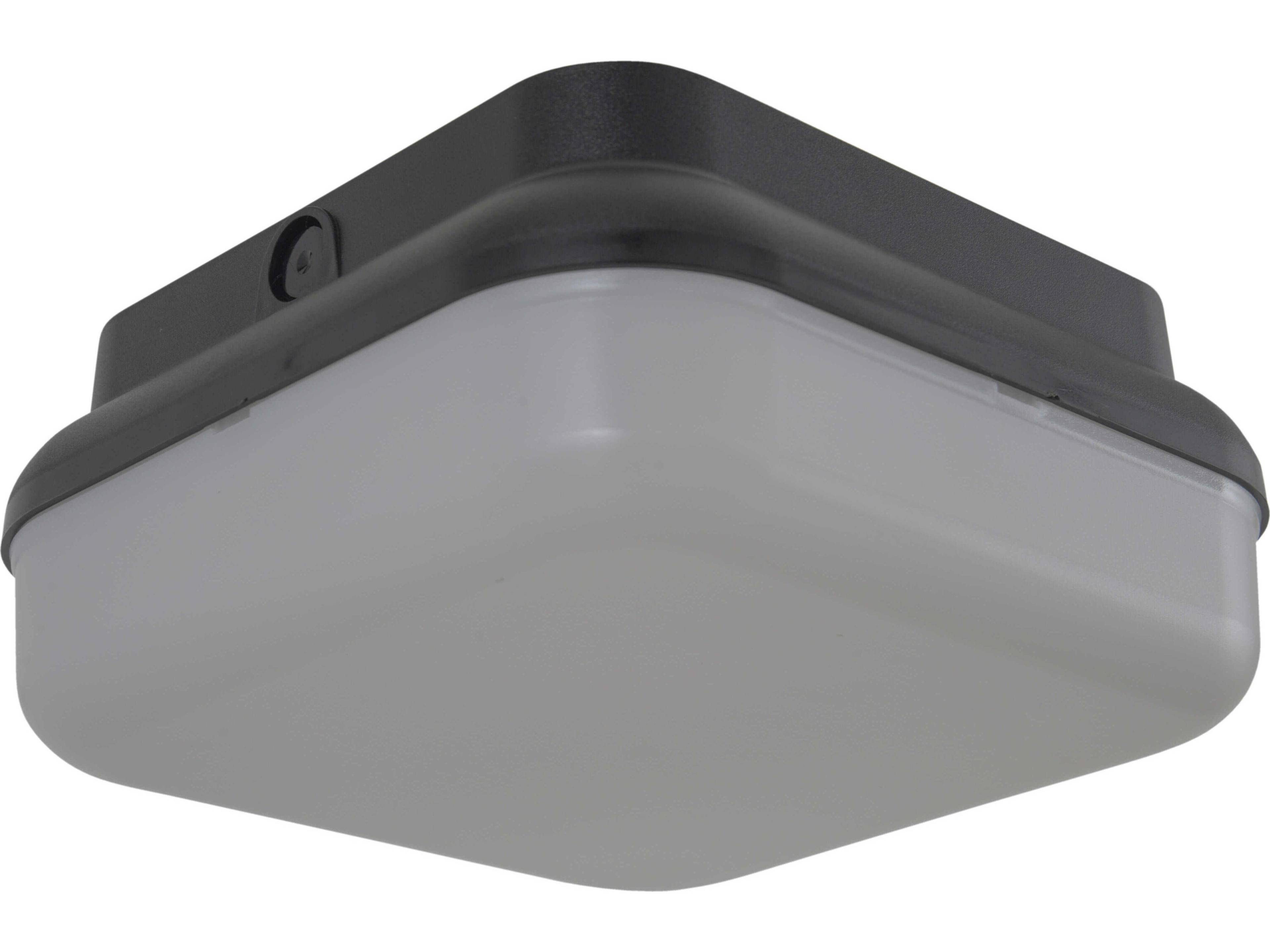 Craftmade Resilience 2 - Light Outdoor Ceiling Light