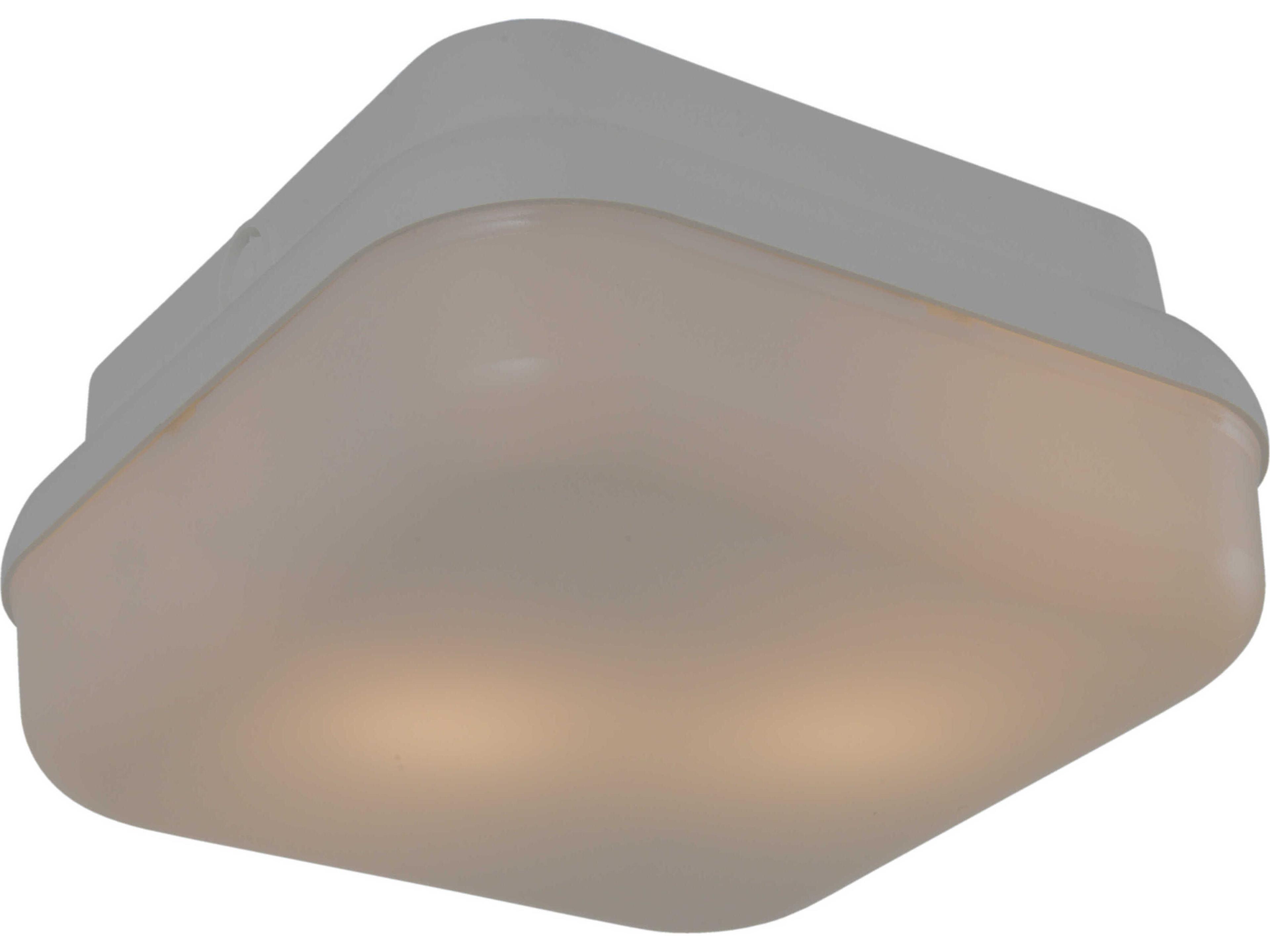 Craftmade Resilience 2 - Light Outdoor Ceiling Light