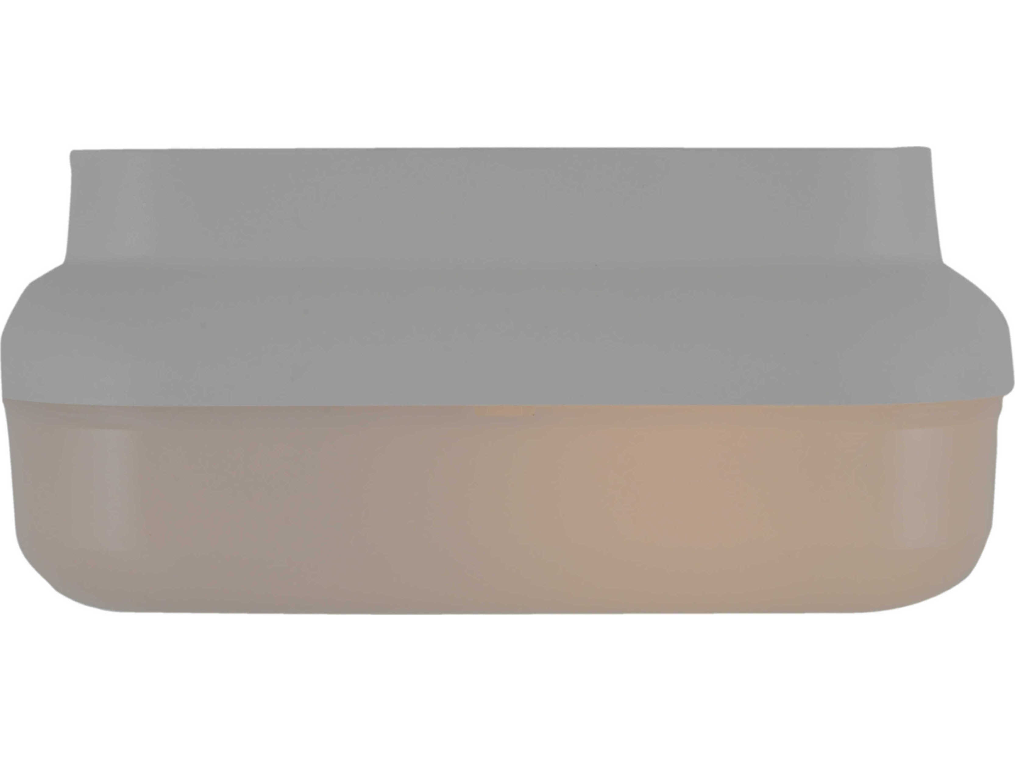 Craftmade Resilience 2 - Light Outdoor Ceiling Light