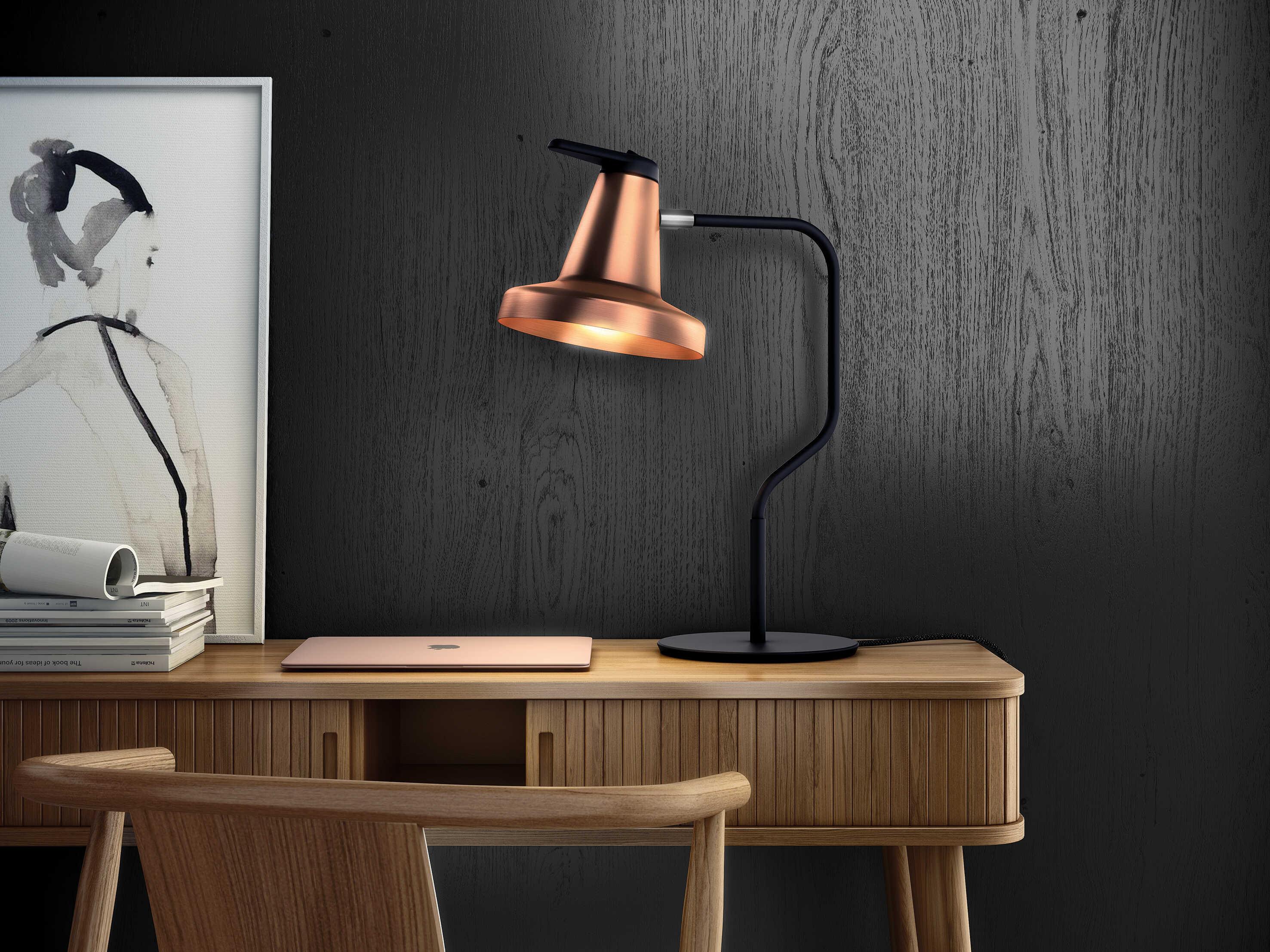 Carpyen Garcon Copper Black Desk Lamp