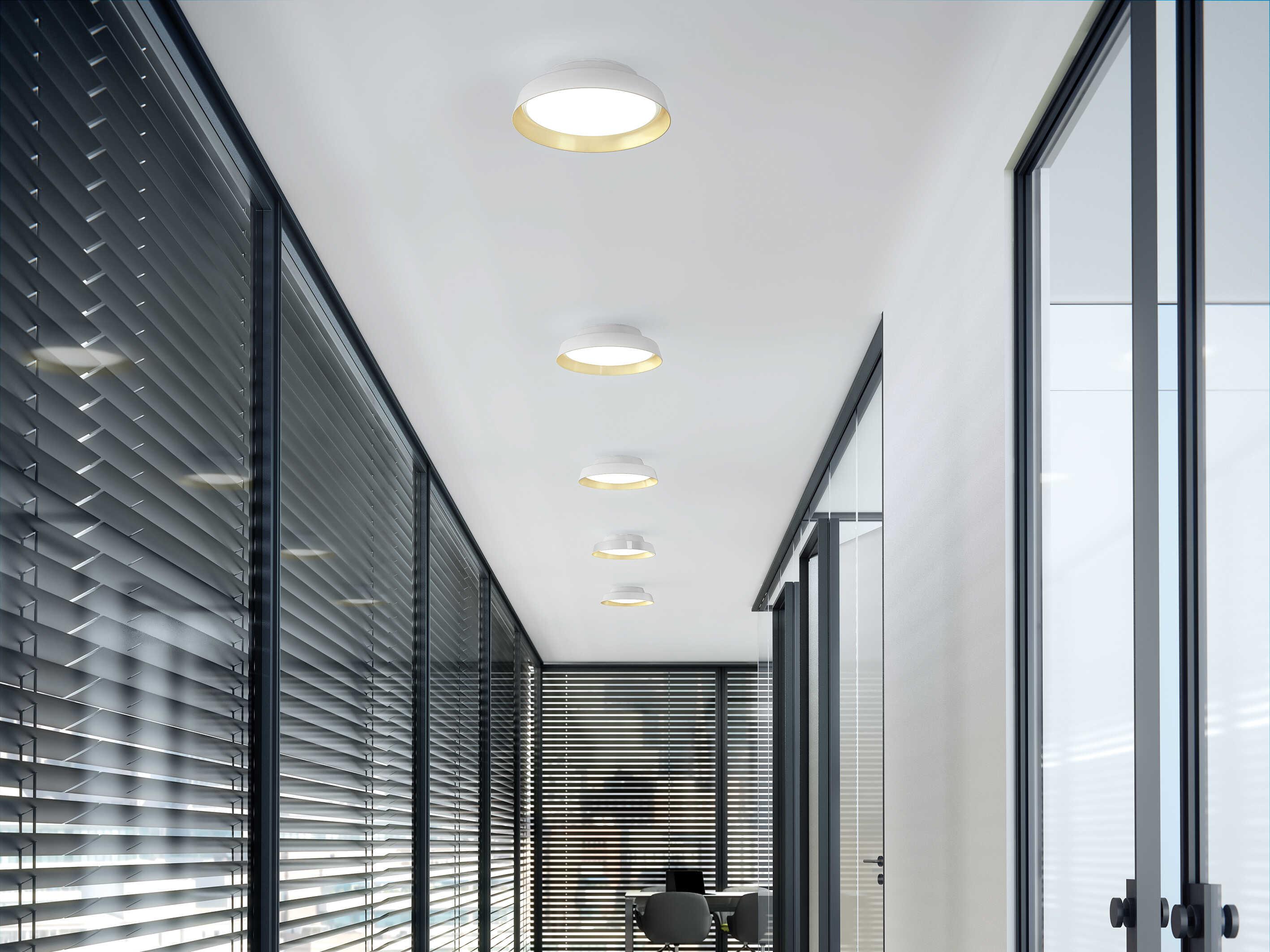 Carpyen Boop White Gold Round Flush Mount