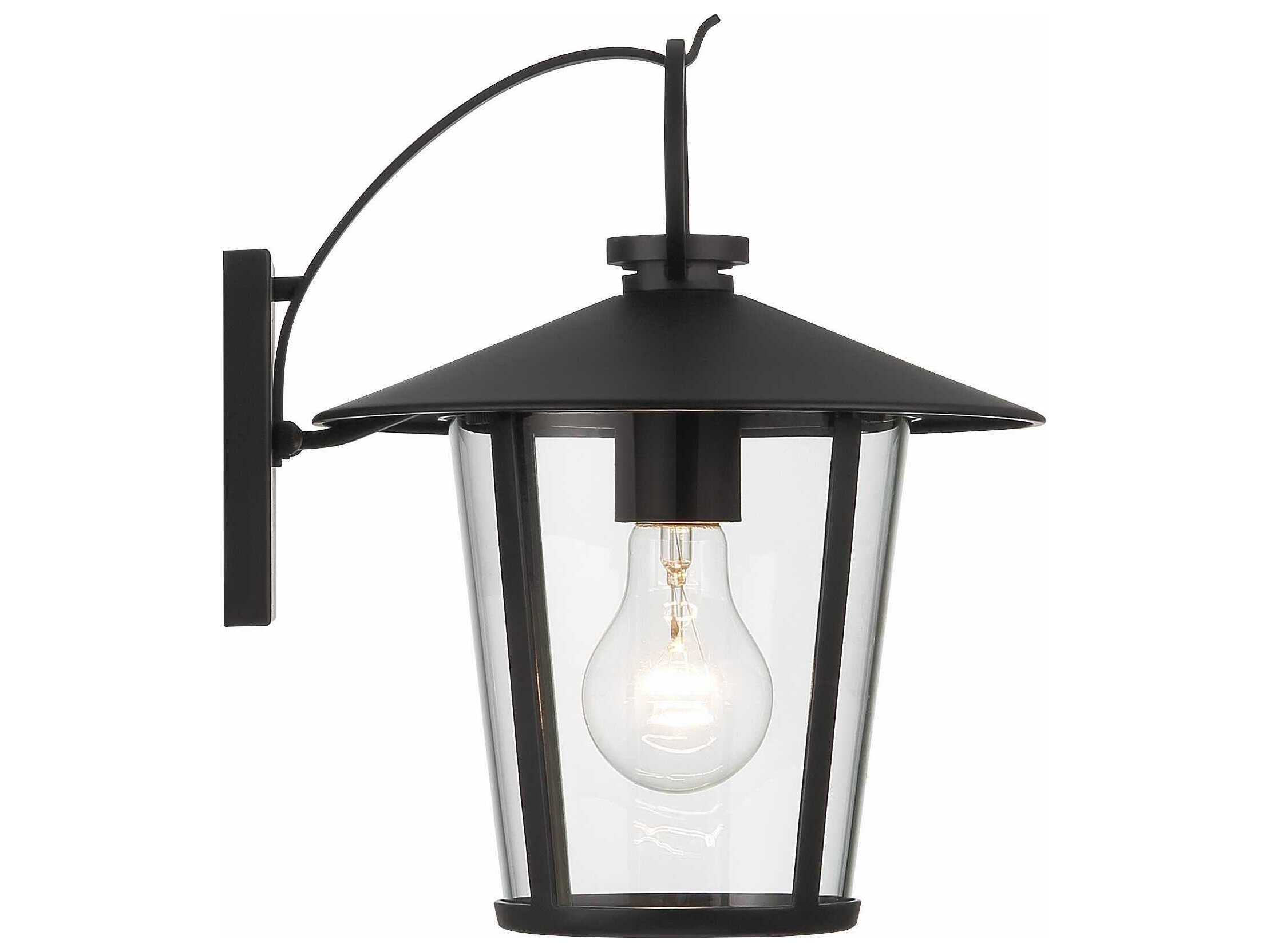 Crystorama Andover 1 - Light Outdoor Wall Light with Clear Glass Shade