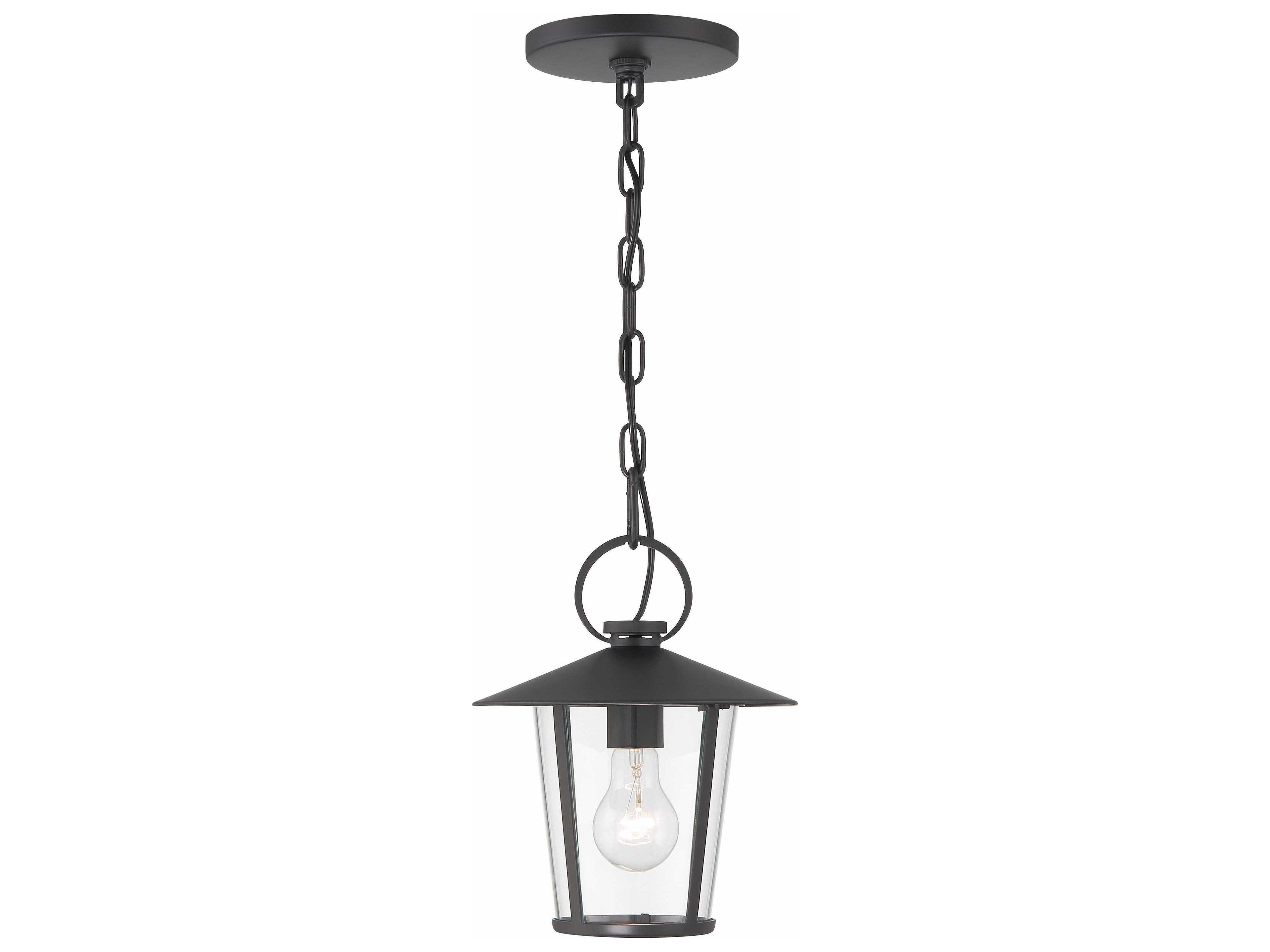 Crystorama Andover 1 - Light Outdoor Hanging Light with Clear Glass Shade
