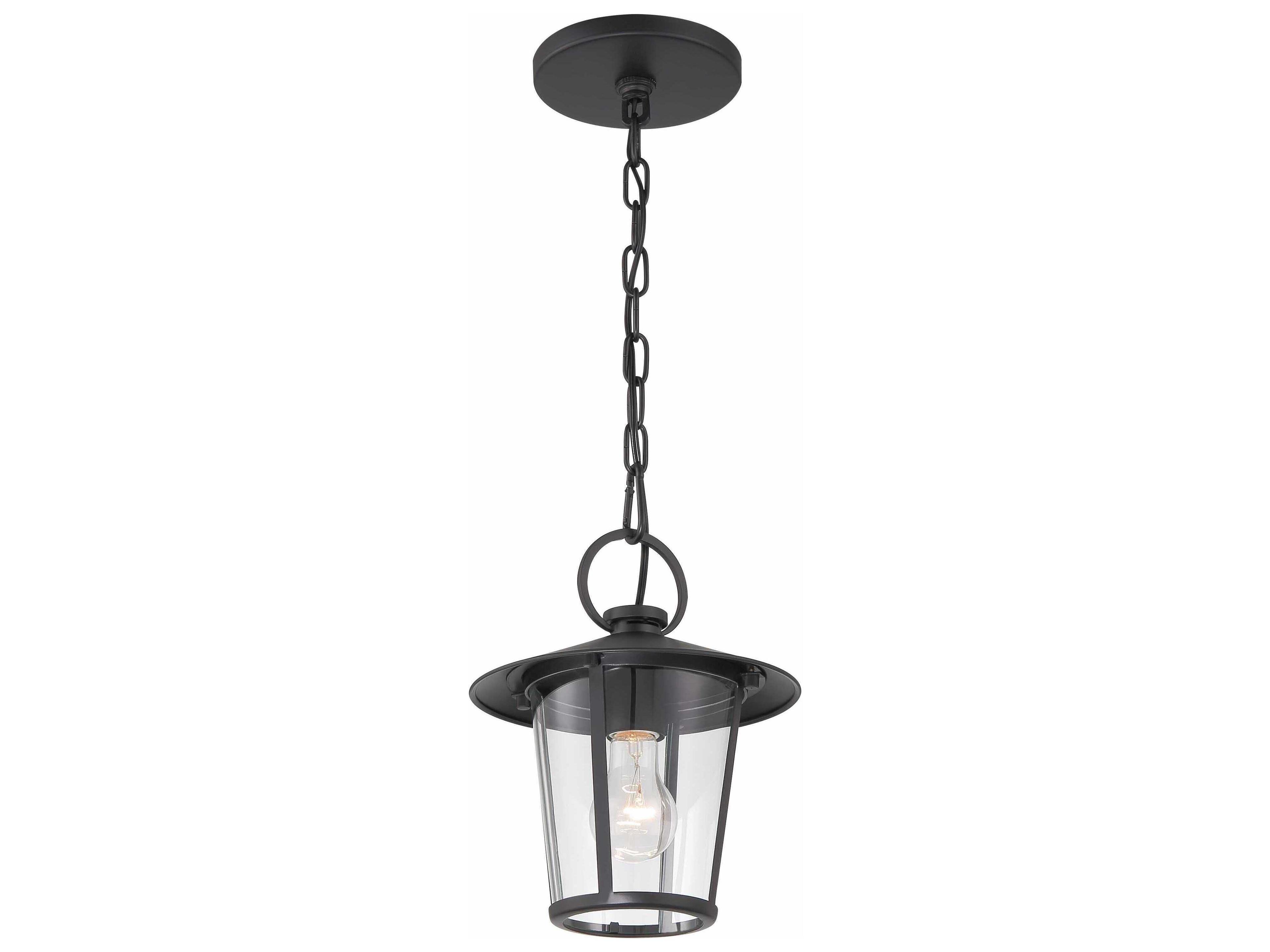 Crystorama Andover 1 - Light Outdoor Hanging Light with Clear Glass Shade