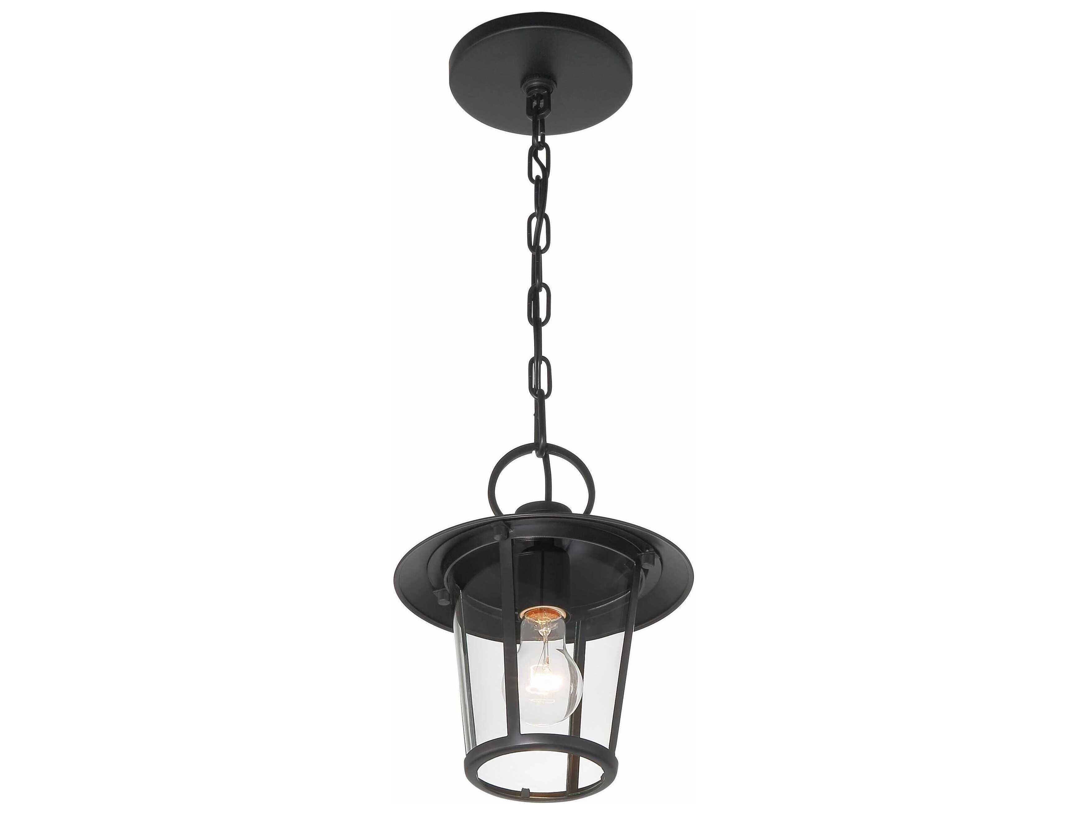 Crystorama Andover 1 - Light Outdoor Hanging Light with Clear Glass Shade