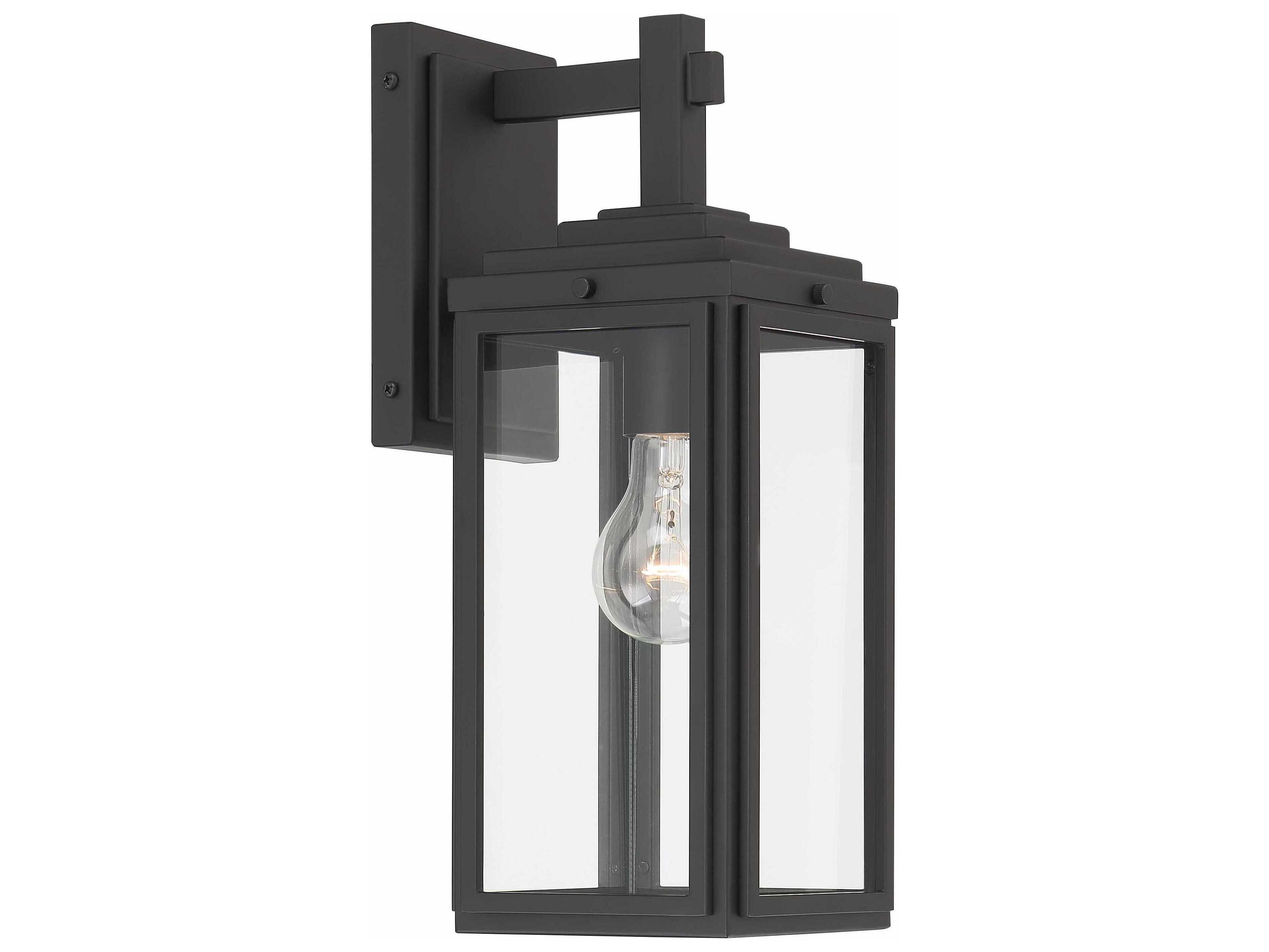 Crystorama Byron Outdoor Wall Light