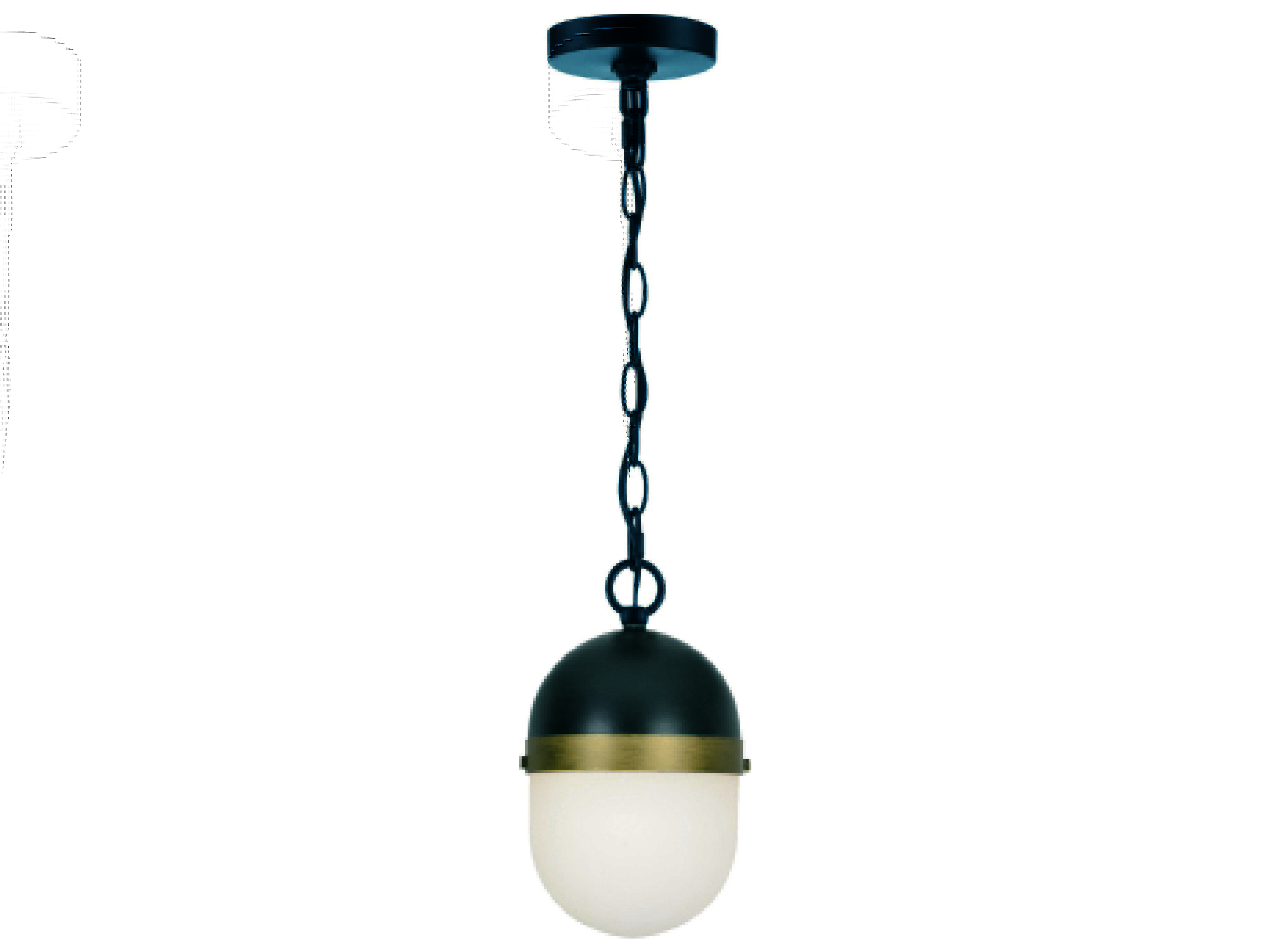 Crystorama Capsule Glass Outdoor Hanging Light