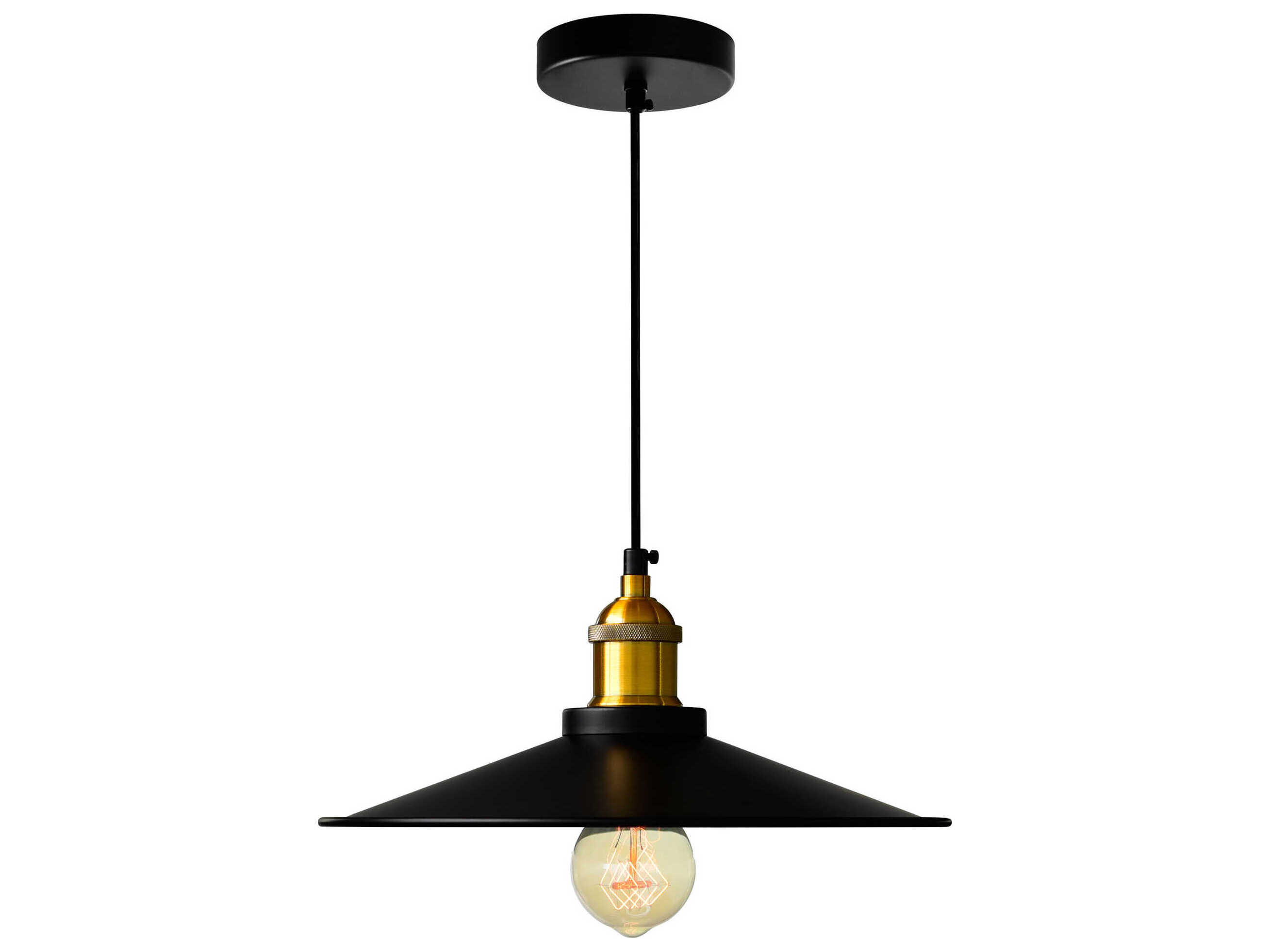 CWI Lighting Brave 1-Light Black Pendant
