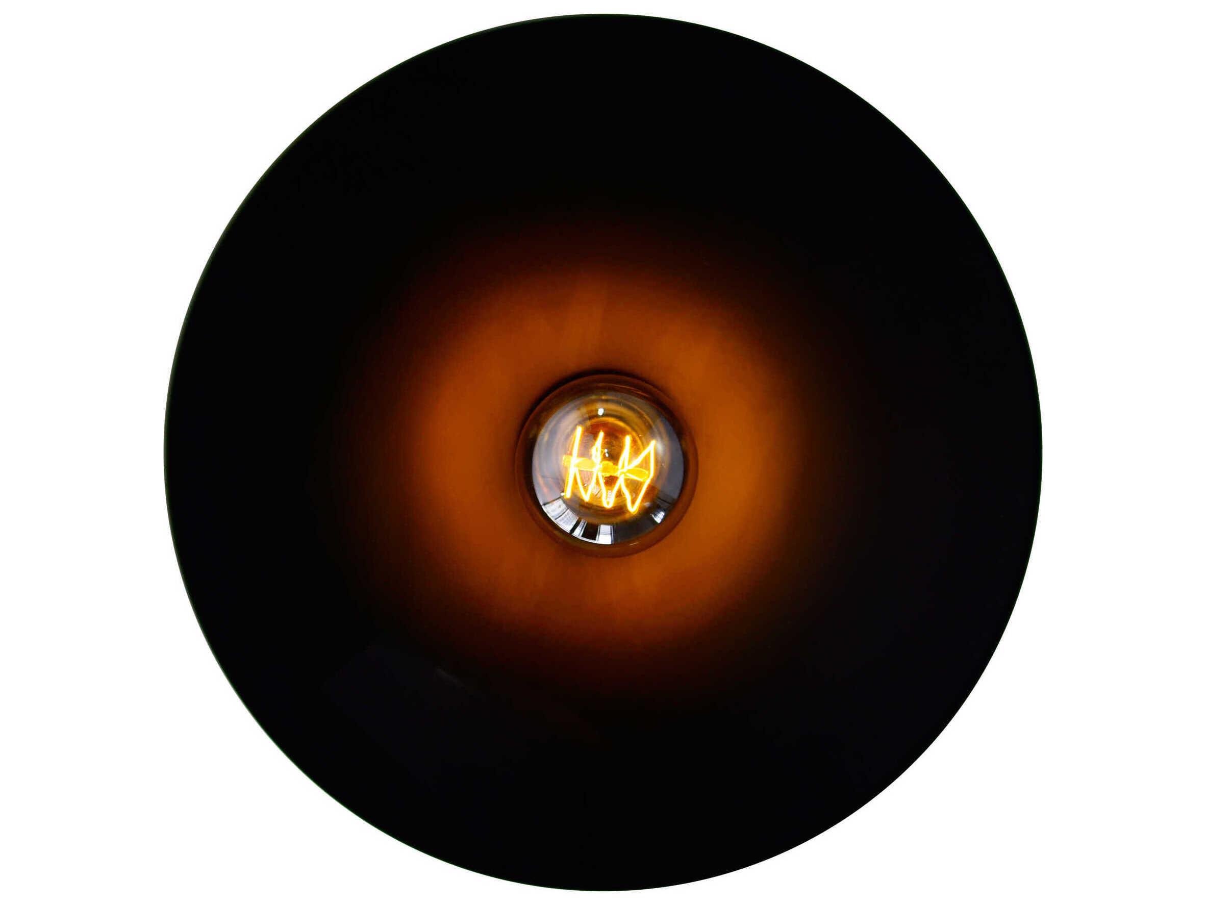 CWI Lighting Brave 1-Light Black Pendant