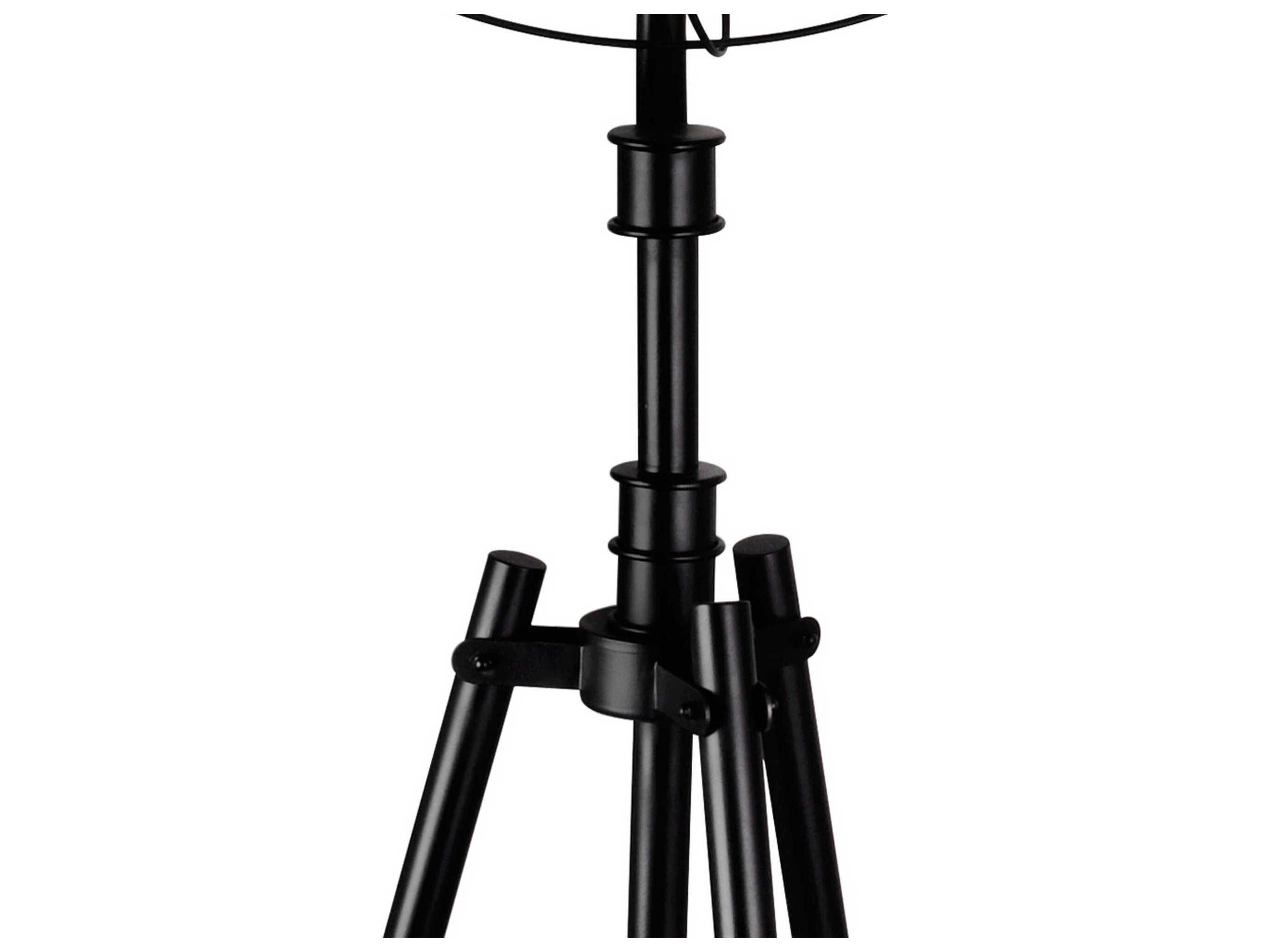 CWI Lighting Pamela Black Floor Lamp