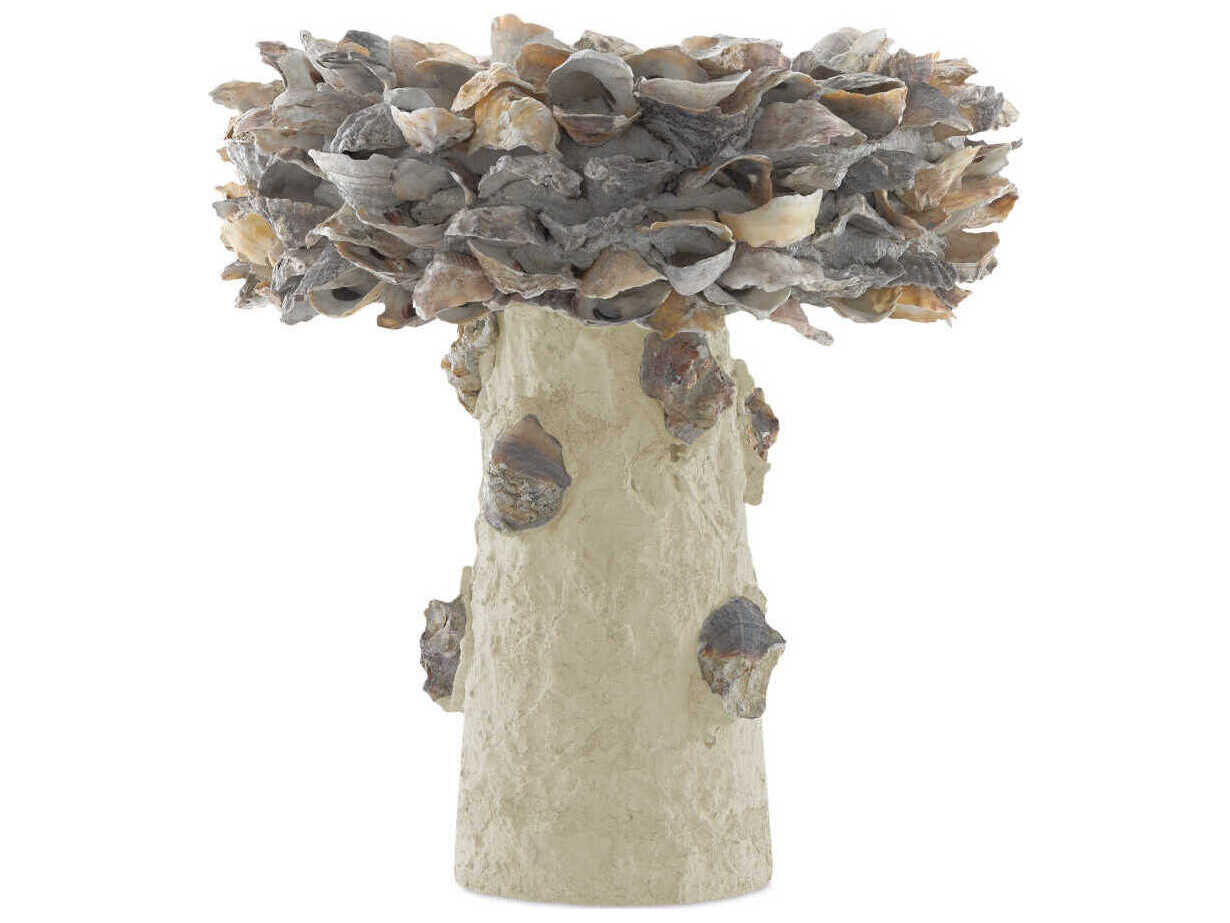 Currey & Company Oyster Shell Small Bird Bath