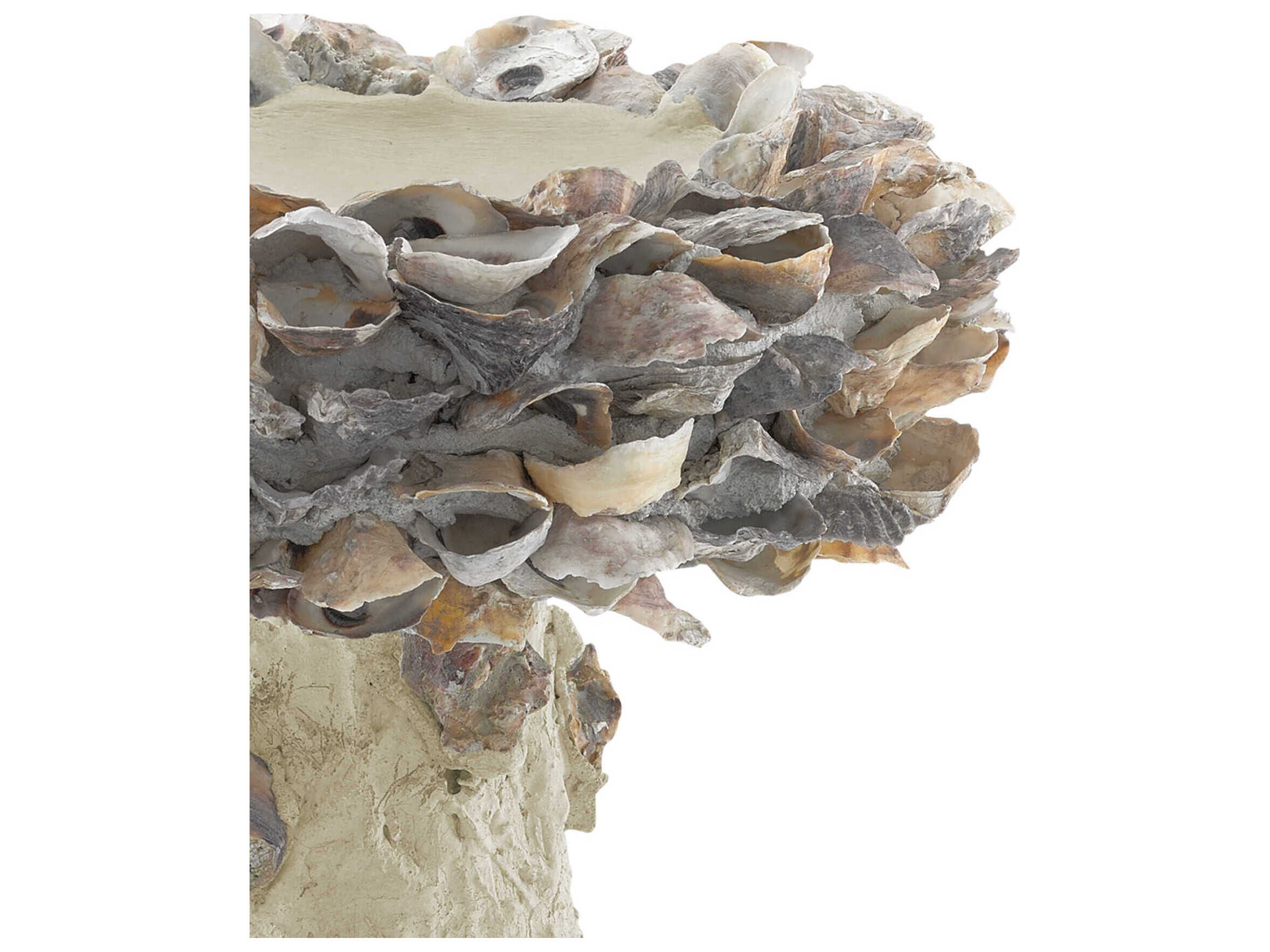 Currey & Company Oyster Shell Small Bird Bath