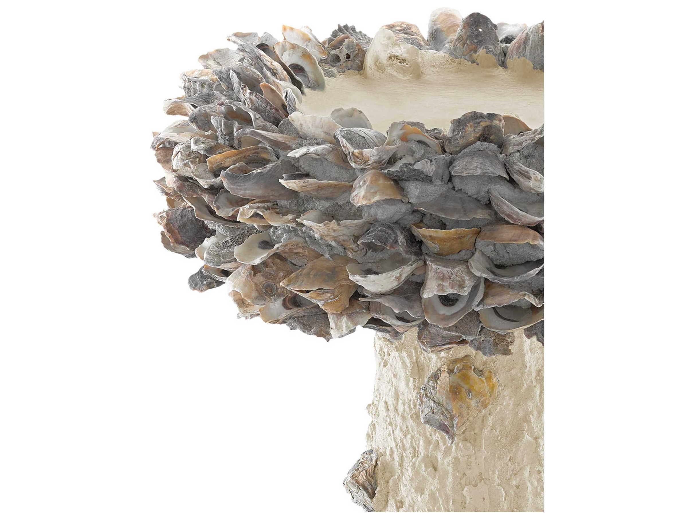 Currey & Company Oyster Shell Medium Bird Bath
