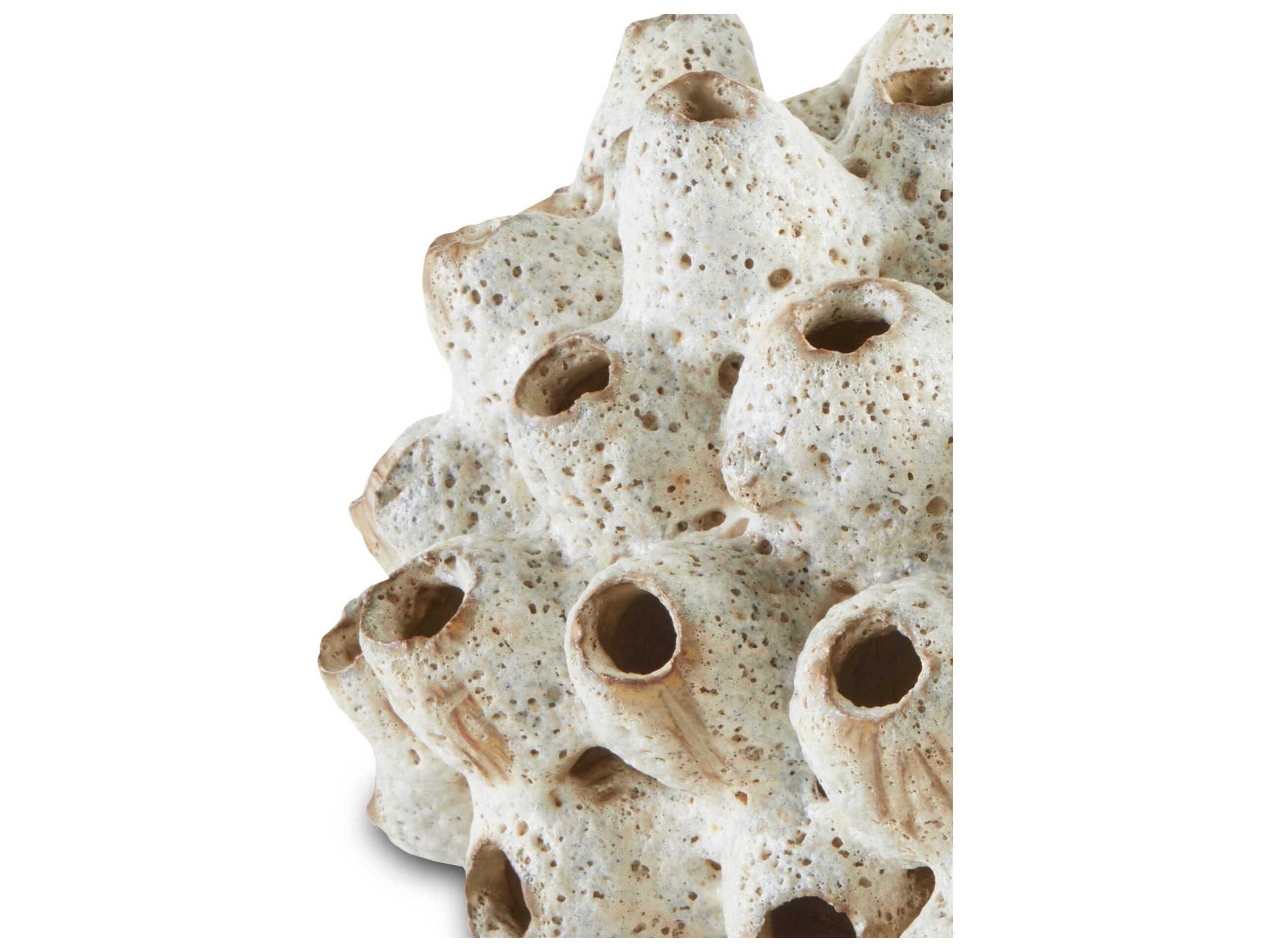 Currey & Company Antique White Sulawasi Shells Sculpture