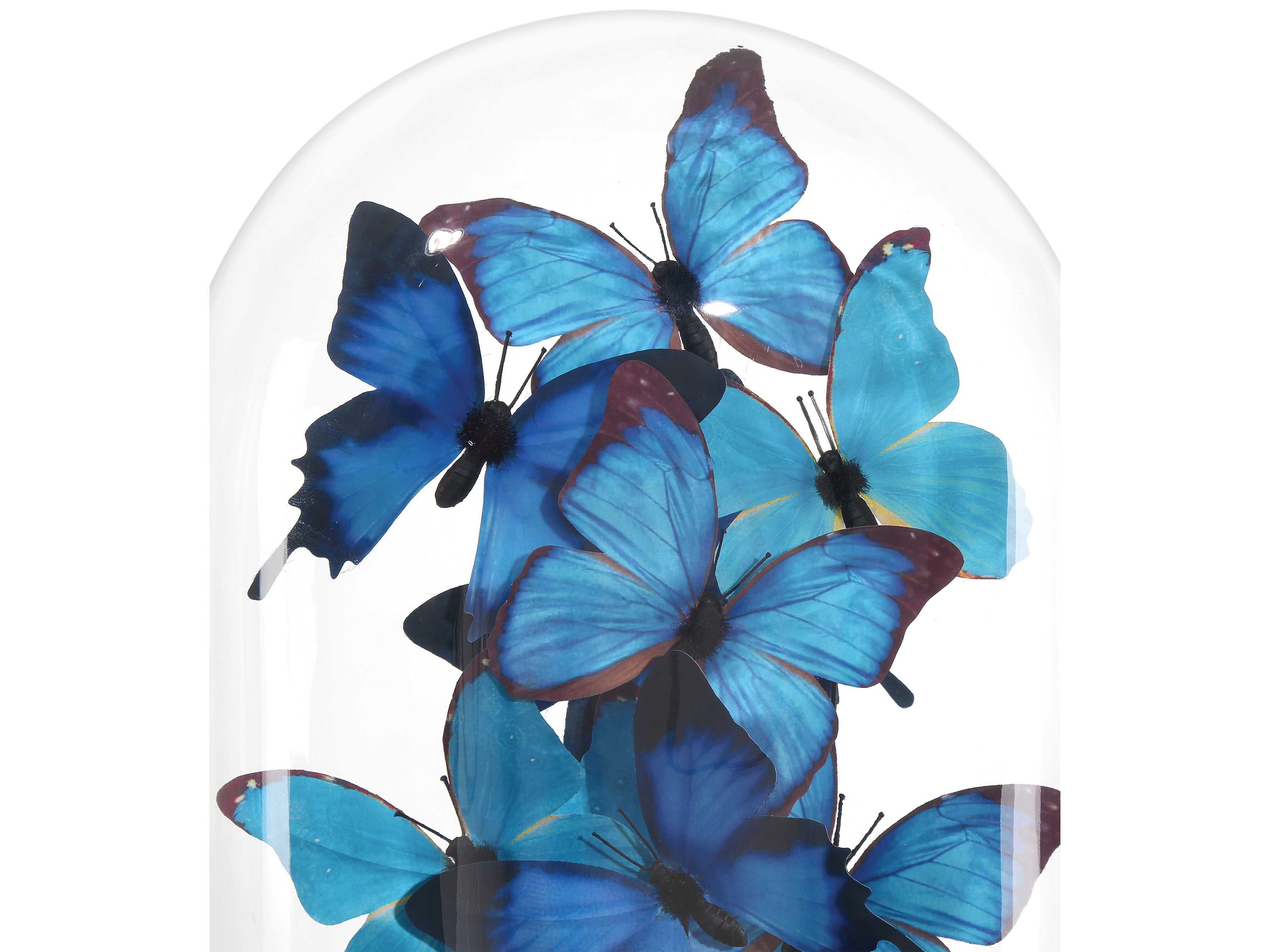 Currey & Company Rue de Bac Butterflies