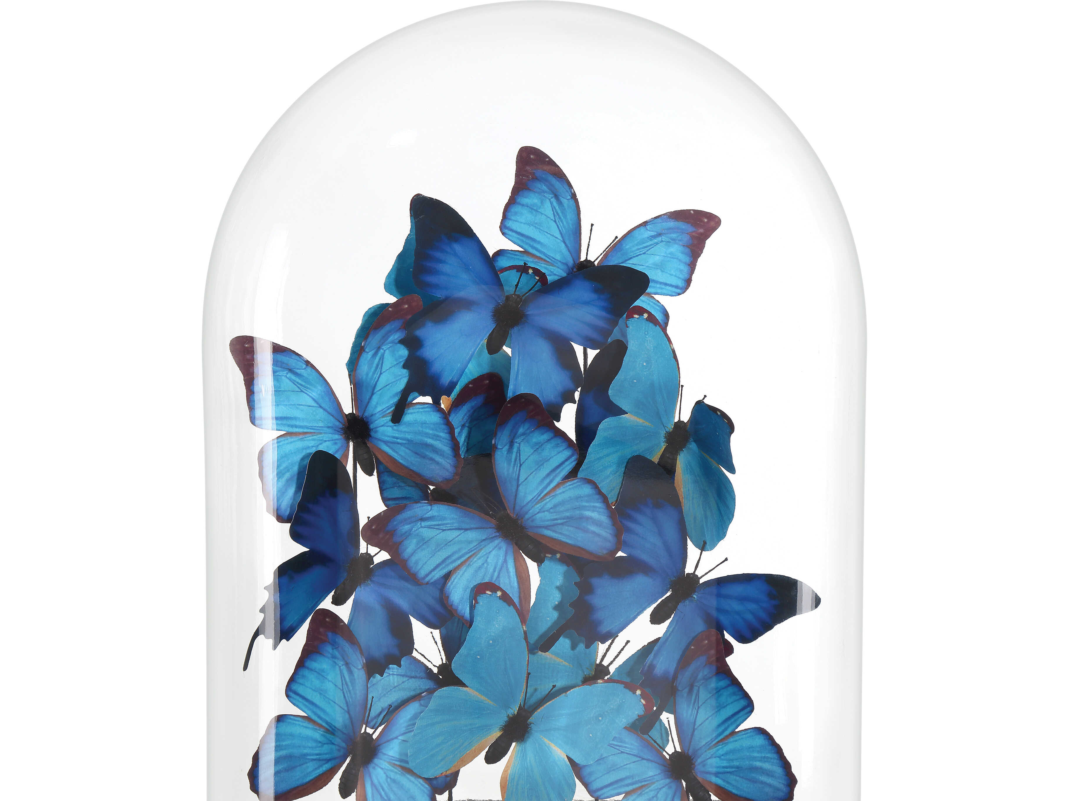 Currey & Company Rue de Bac Butterflies