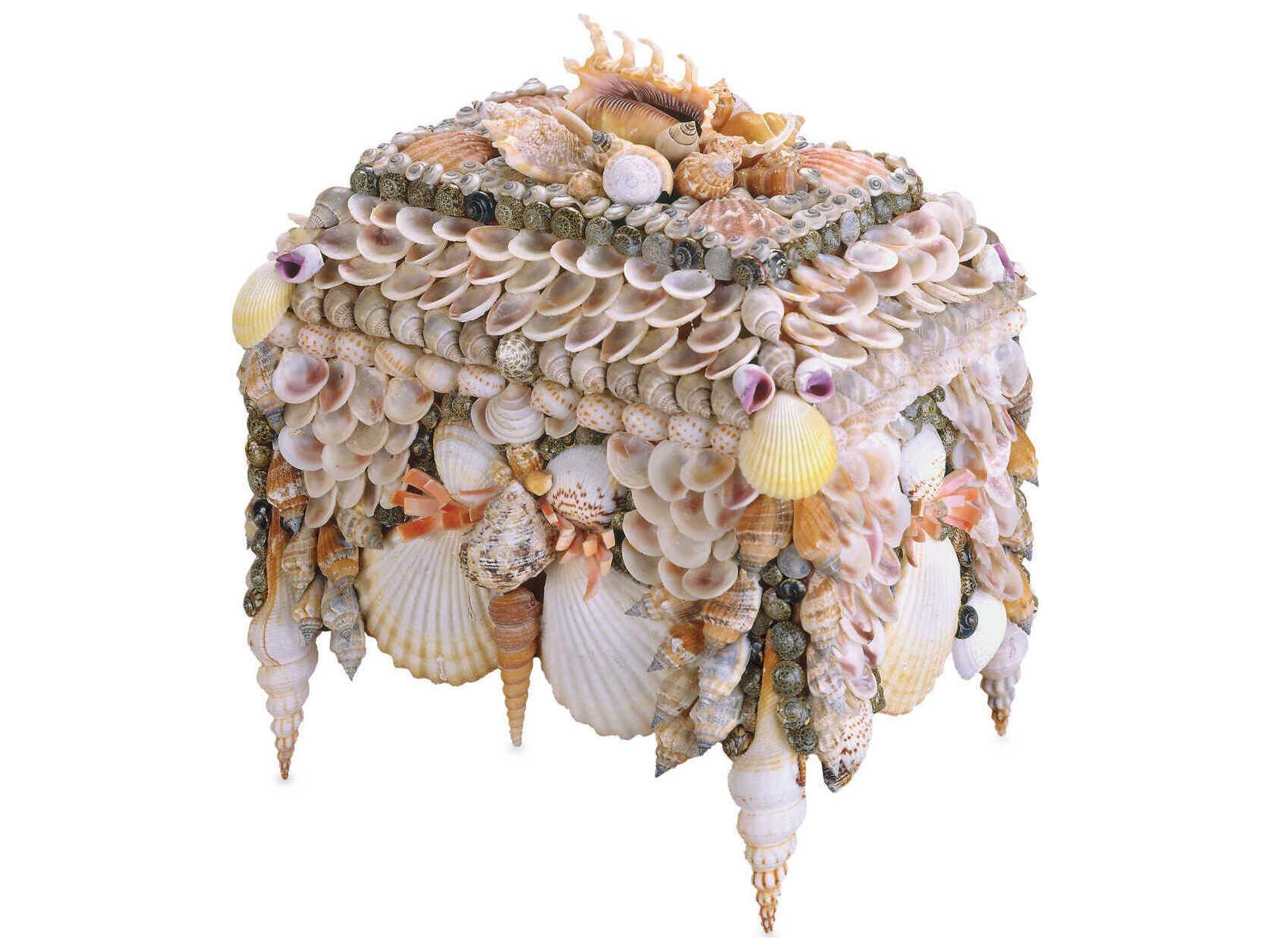 Currey & Company Boardwalk Natural Shell Jewelry Box
