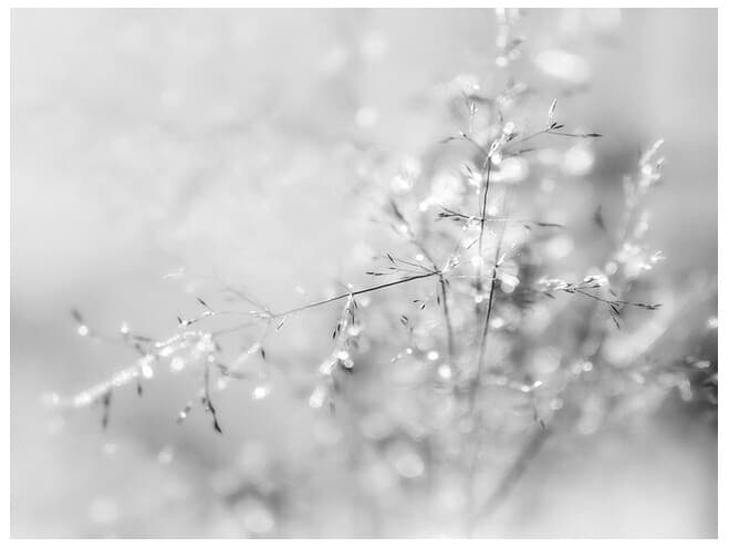 Daleno Silver Dash Wall Art