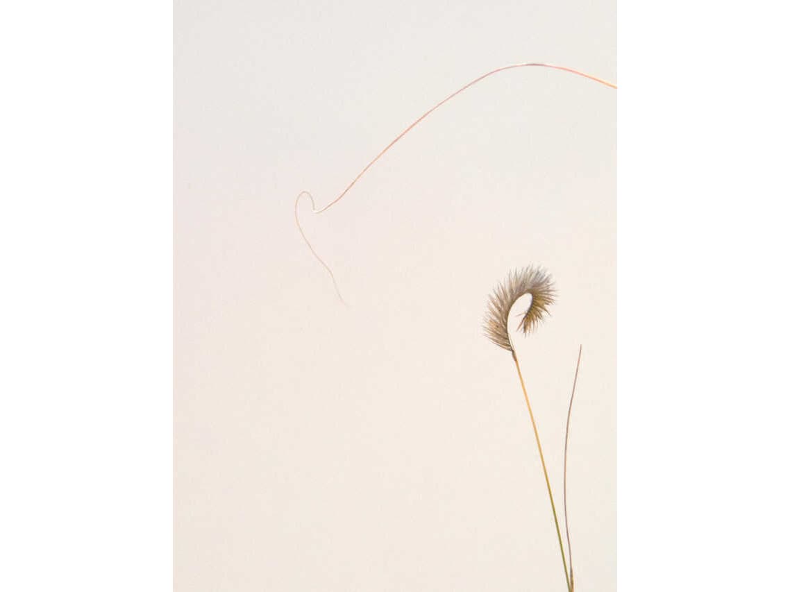 Daleno Poised Petals II Wall Art