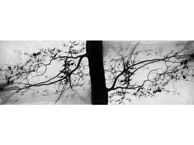 Daleno Fall Perfection II Wall Art