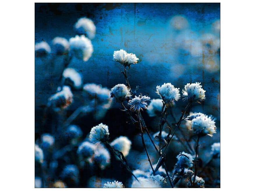 Daleno Toppers Wall Art