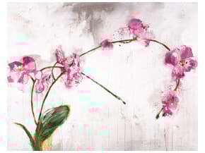 Daleno February Pink Wall Art