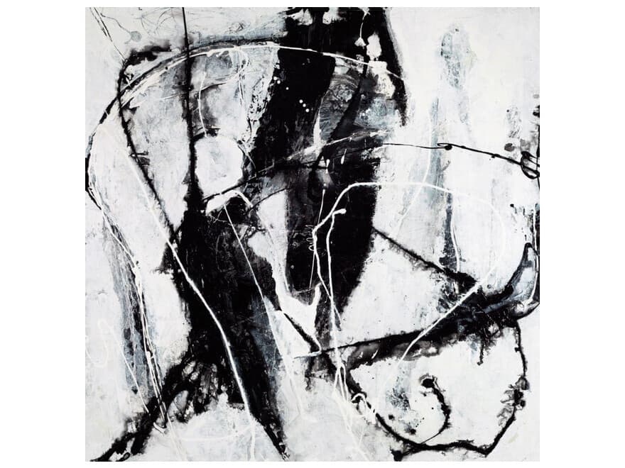 Daleno Polar Opposition Wall Art