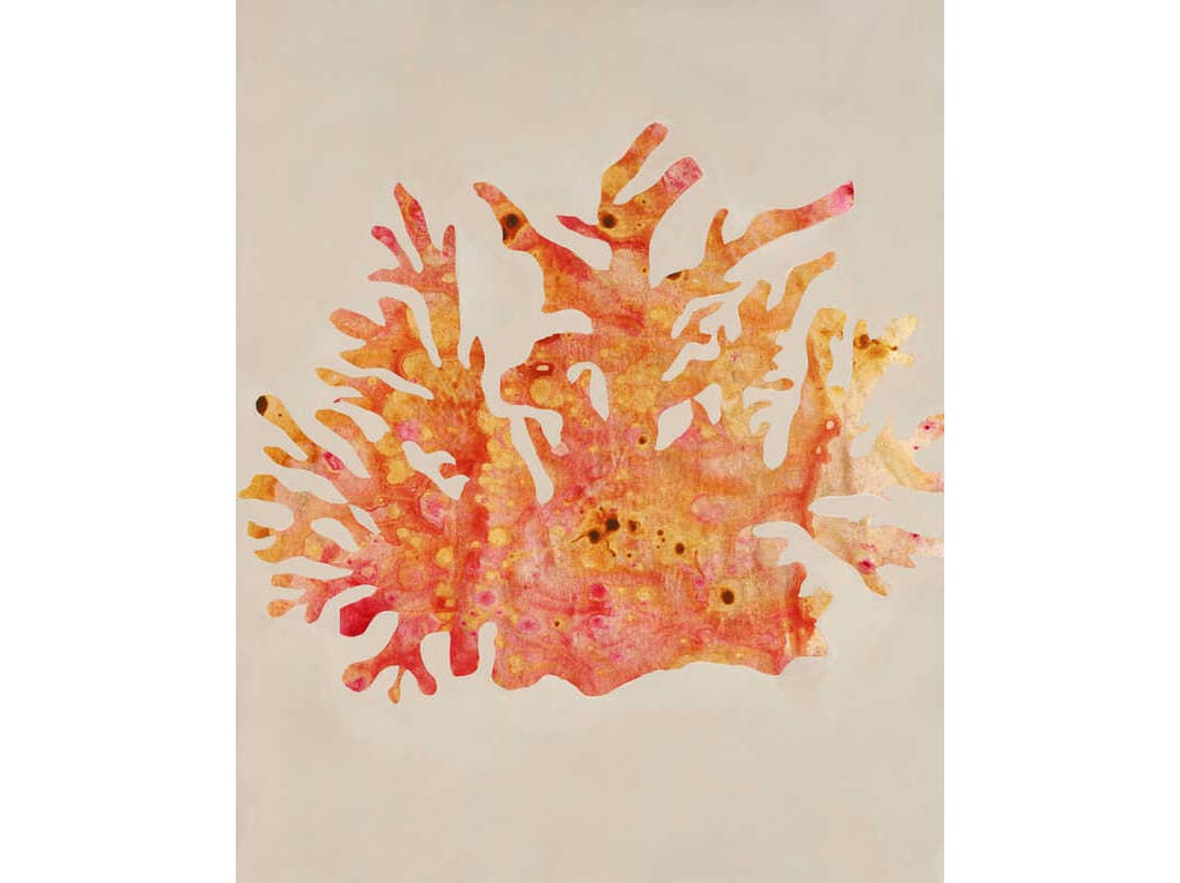 Daleno Fancy Floaters II Wall Art