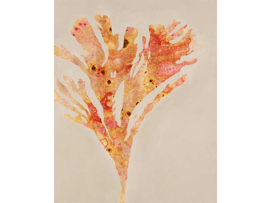 Daleno Fancy Floaters IV Wall Art