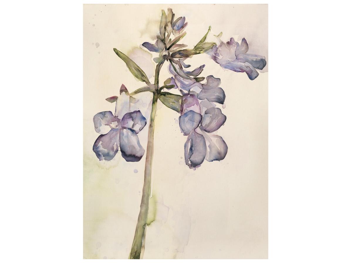 Daleno Garden Accomplishments III Wall Art