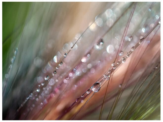 Daleno Glimpse Wall Art