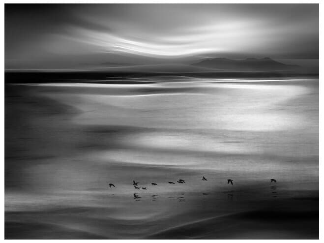 Daleno Sprites Wall Art