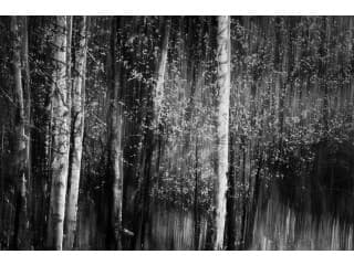 Daleno Lush Cover I Wall Art