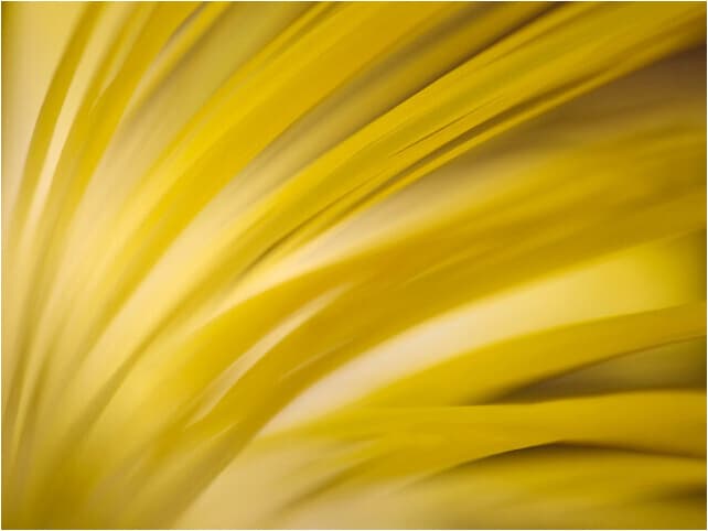 Daleno Brisk Sun Wall Art