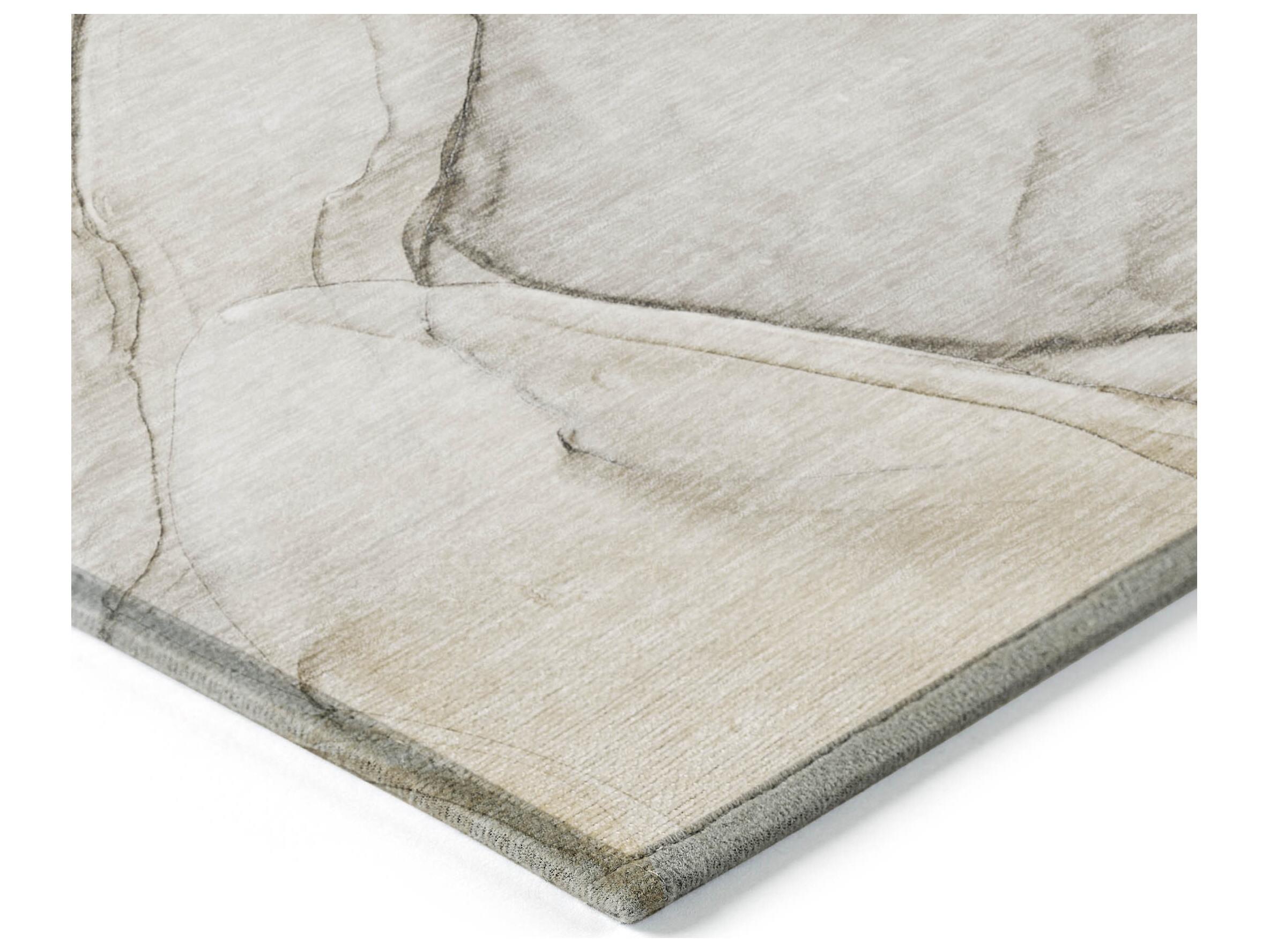 Dalyn Chantille Rectangular Area Rug