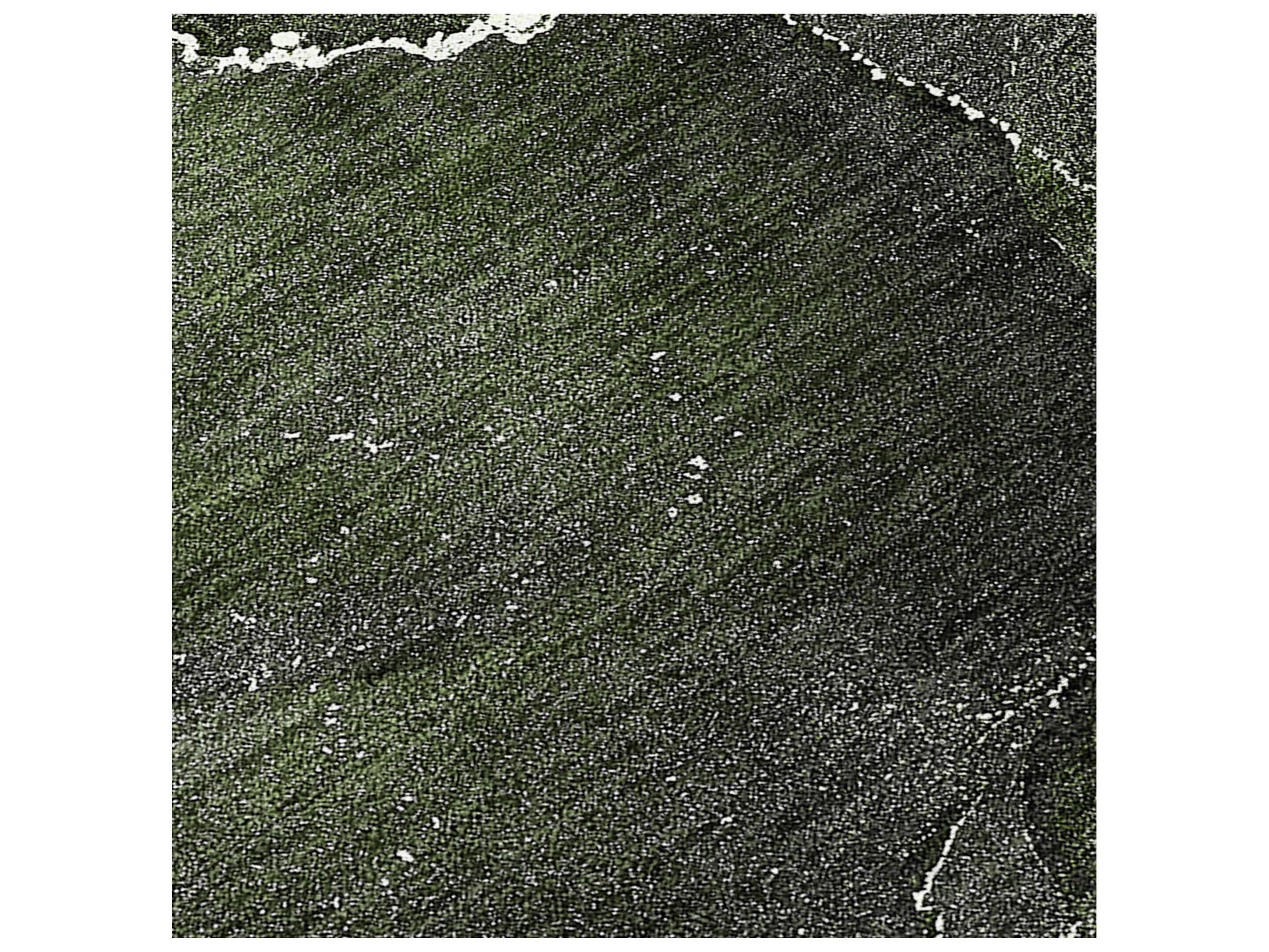 Dalyn Chantille Rectangular Area Rug