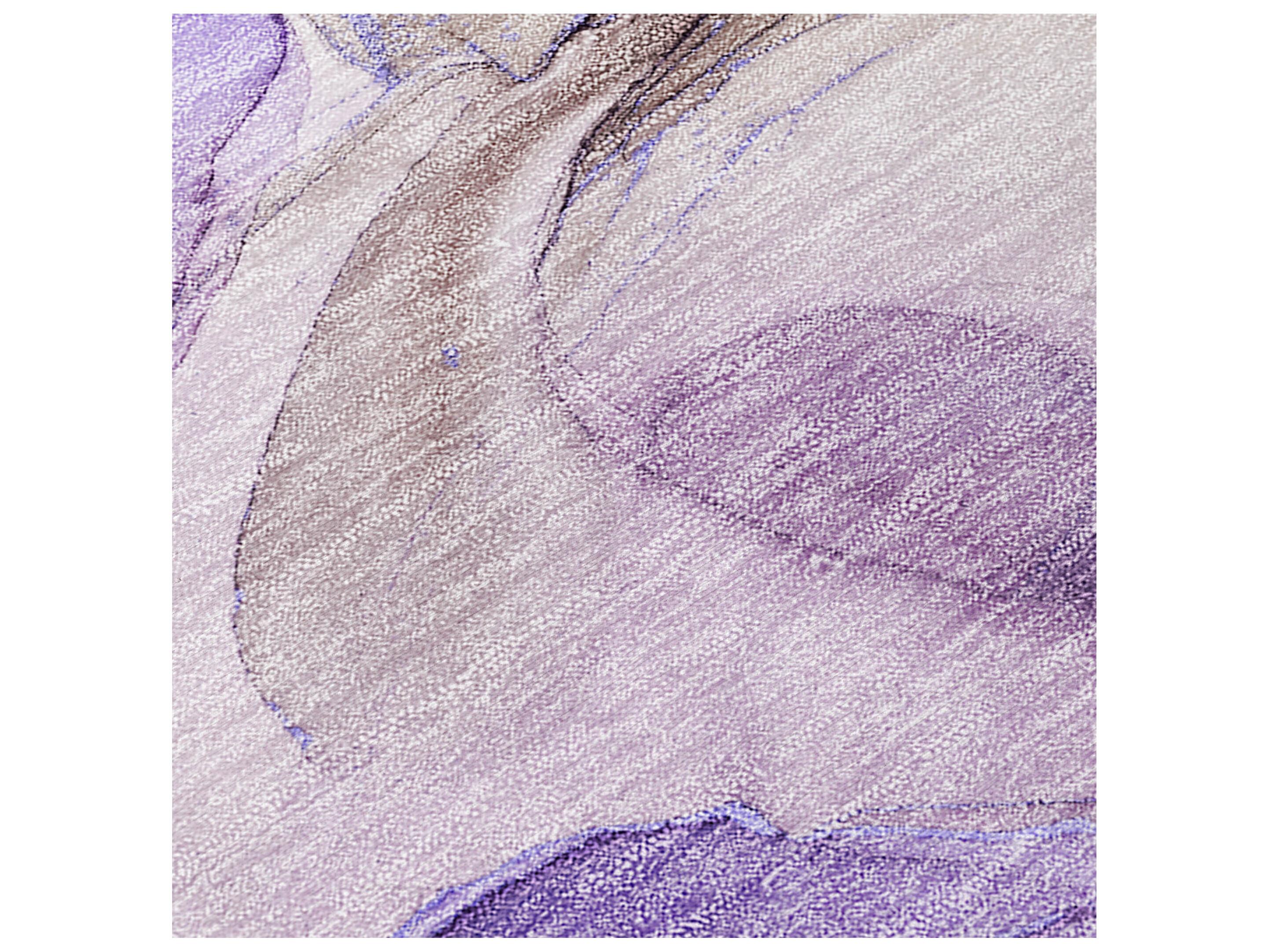 Dalyn Chantille Round Area Rug