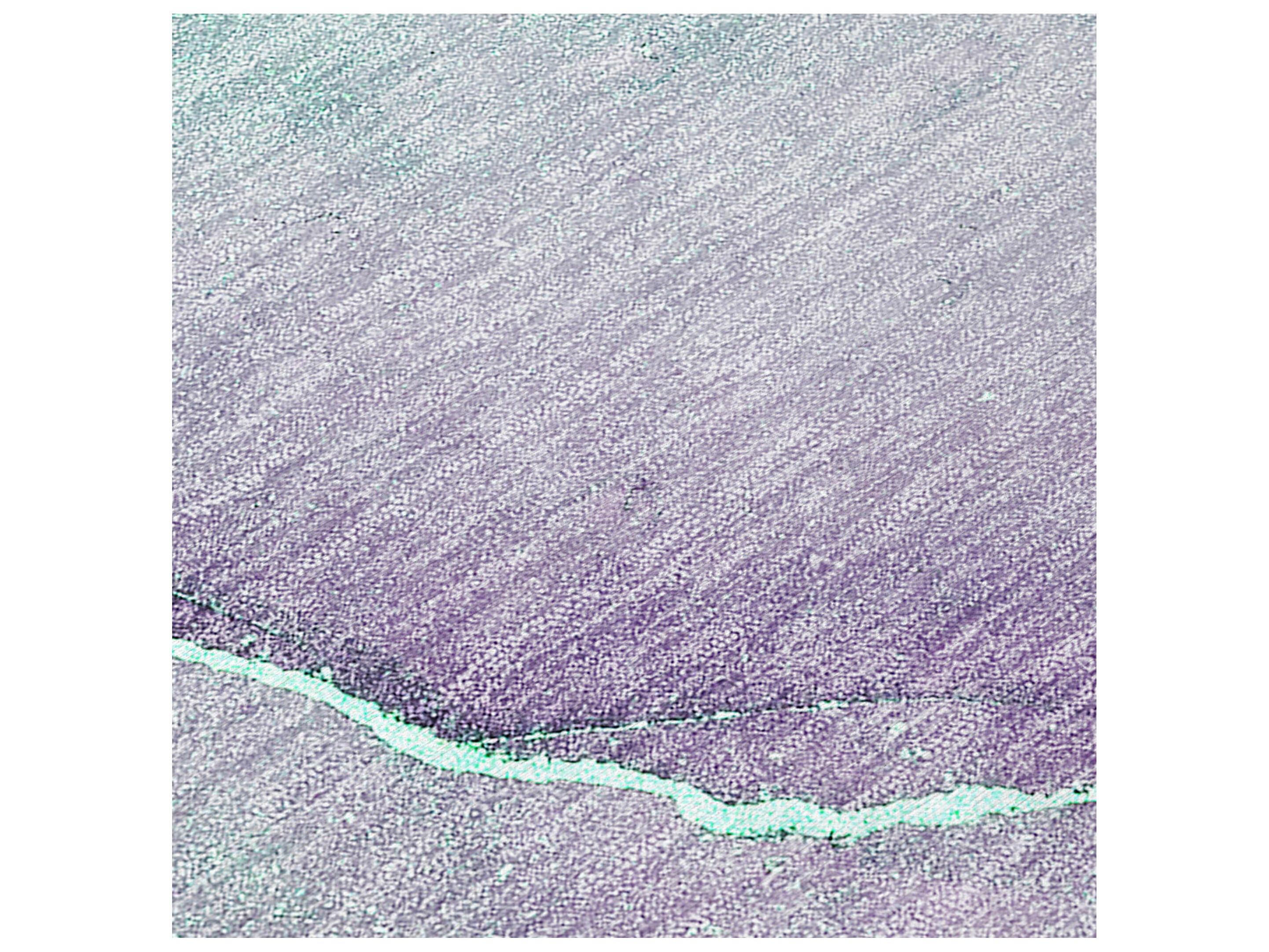 Dalyn Chantille Rectangular Area Rug