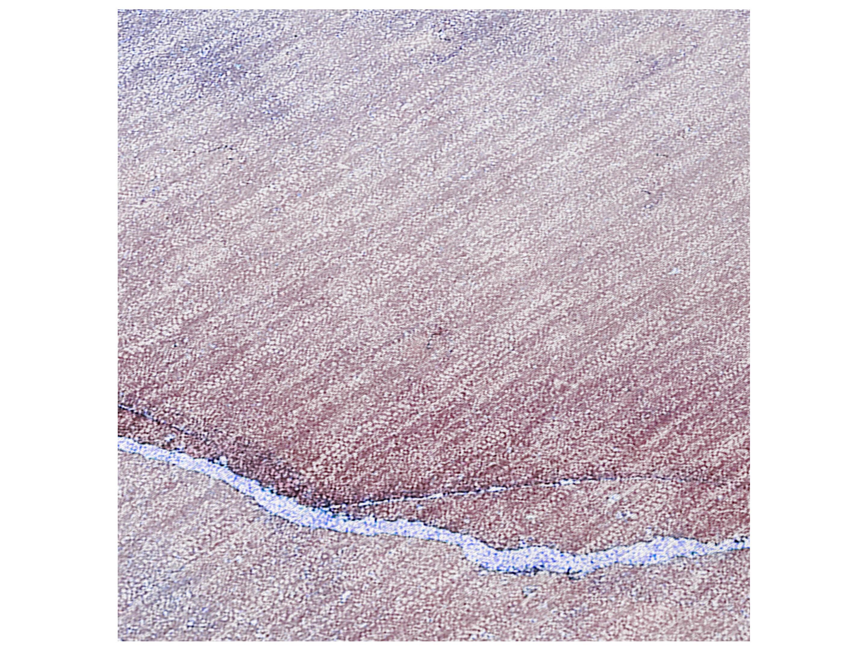 Dalyn Chantille Runner Area Rug