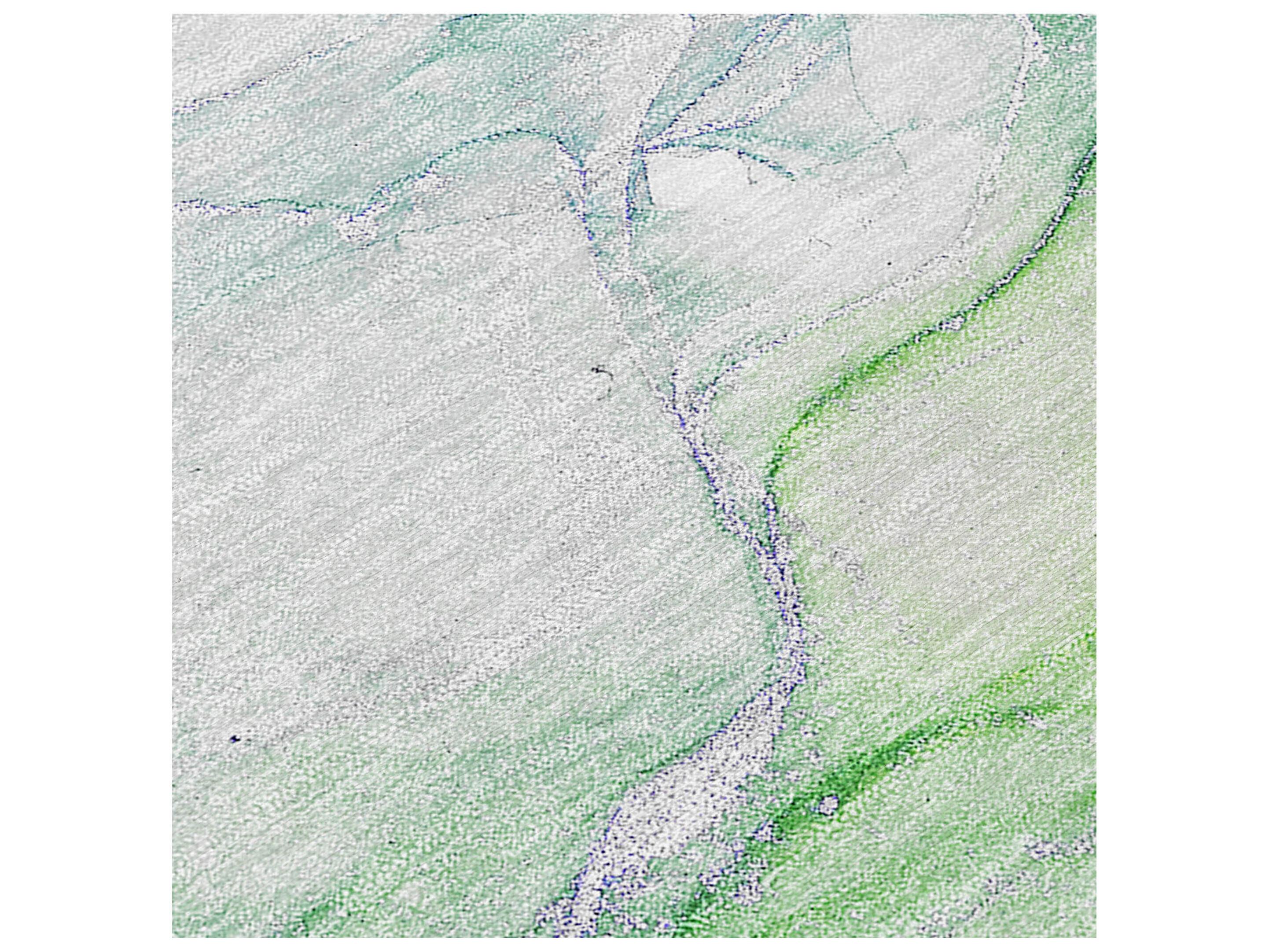 Dalyn Chantille Rectangular Area Rug