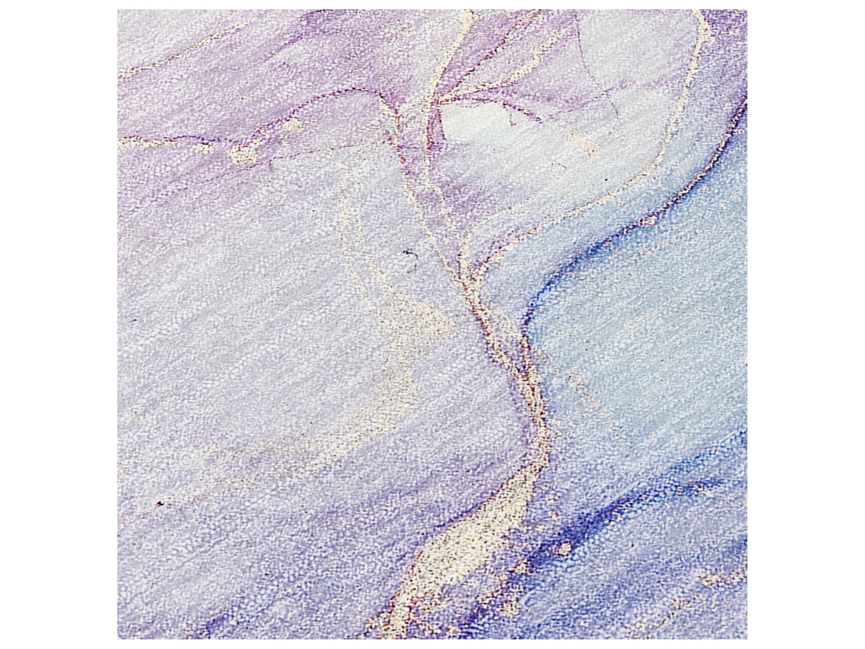 Dalyn Chantille Rectangular Area Rug