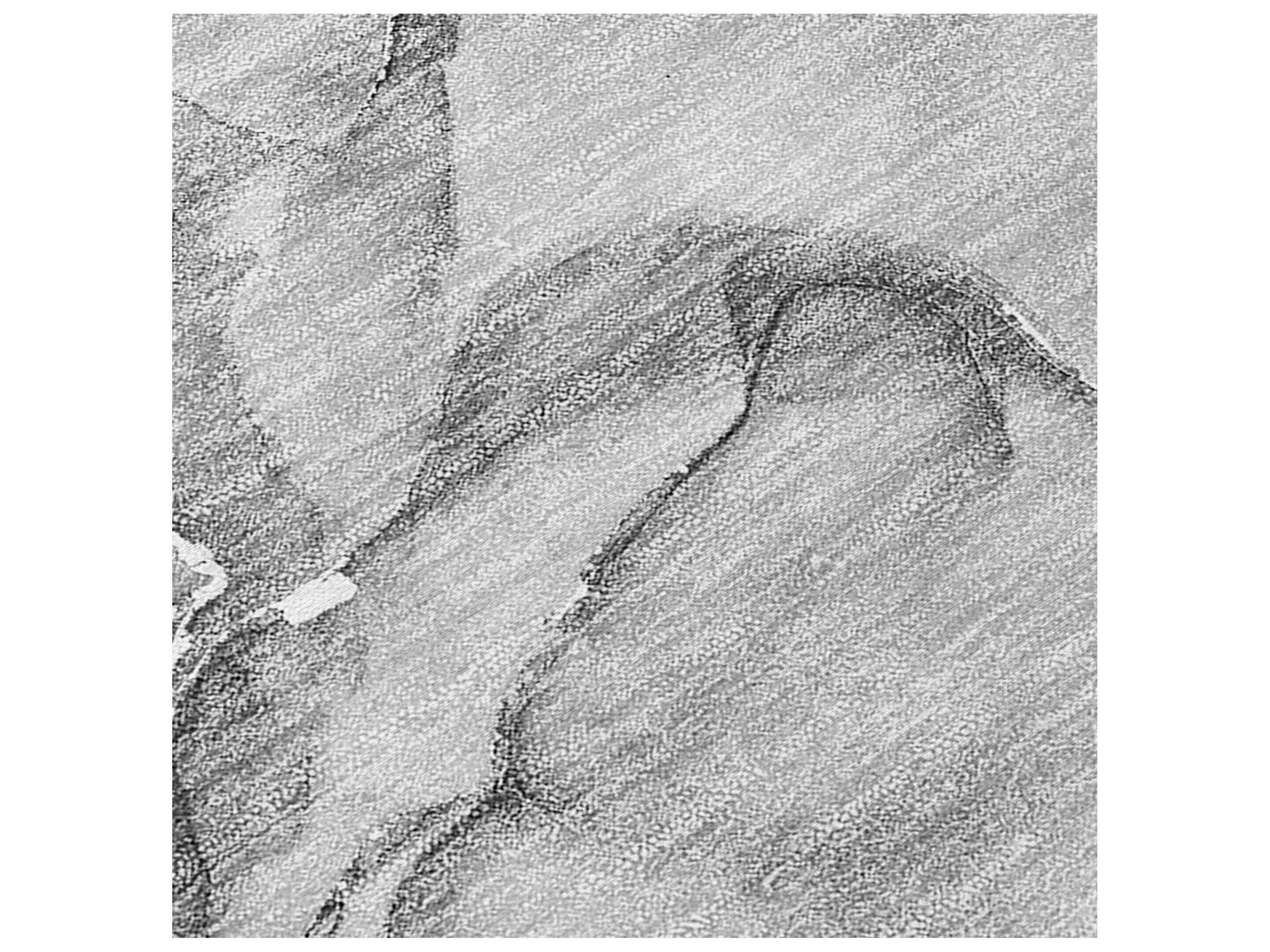 Dalyn Chantille Rectangular Area Rug